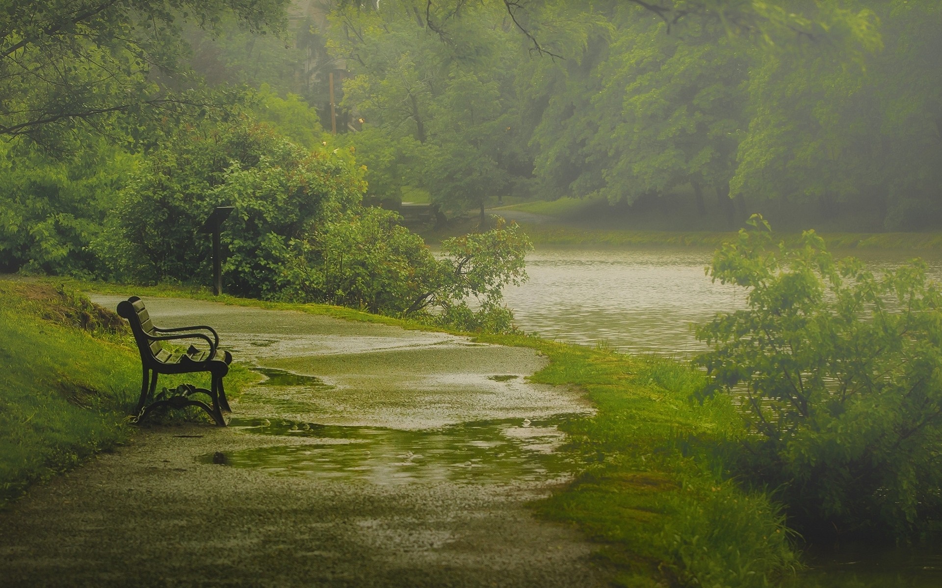 A park bench by a lake on a foggy day HD Wallpaper