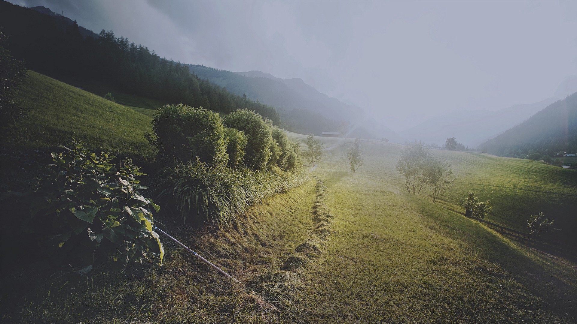Misty mountain landscape with green hills HD Wallpaper