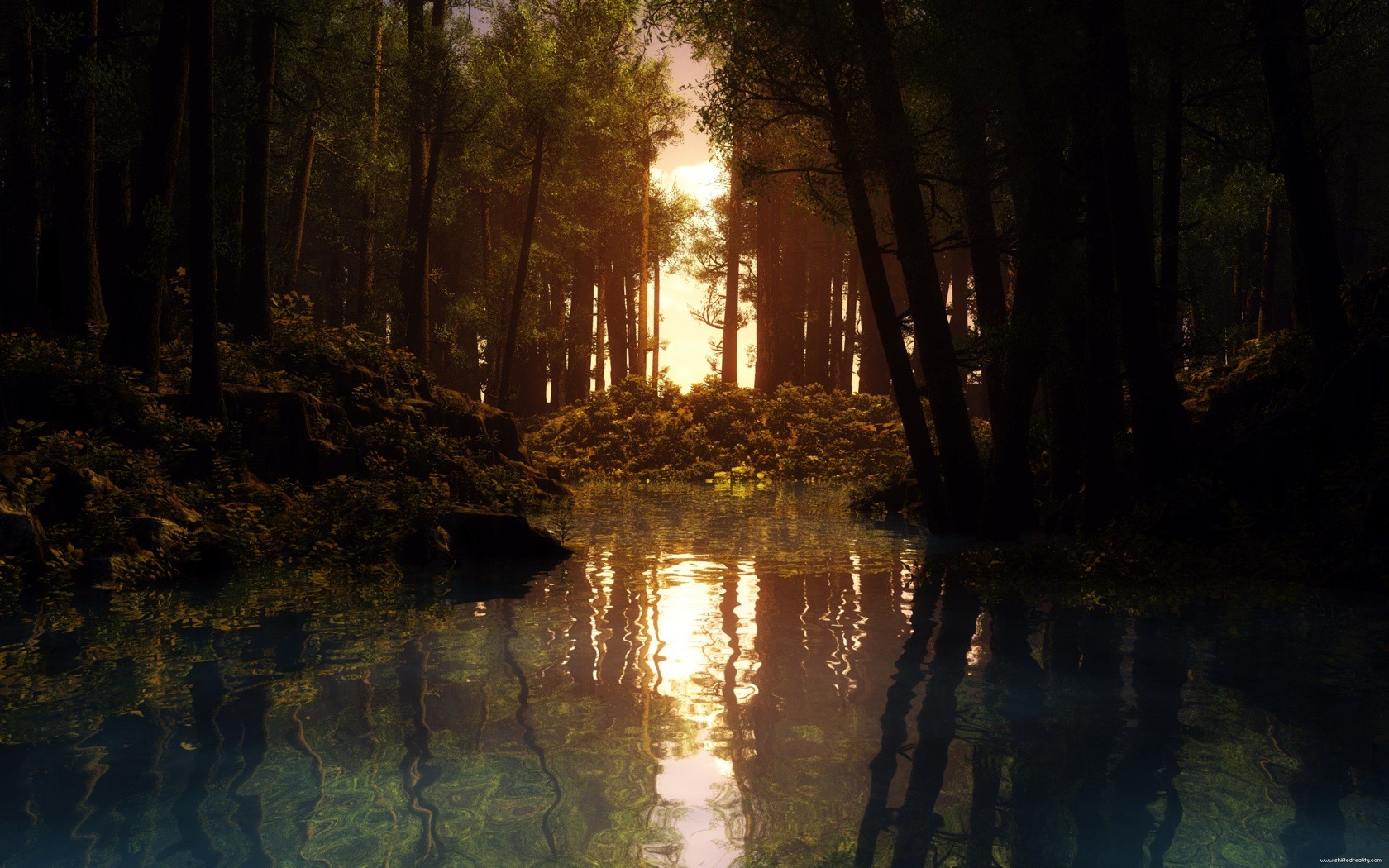 Forest creek with sunset reflection HD Wallpaper