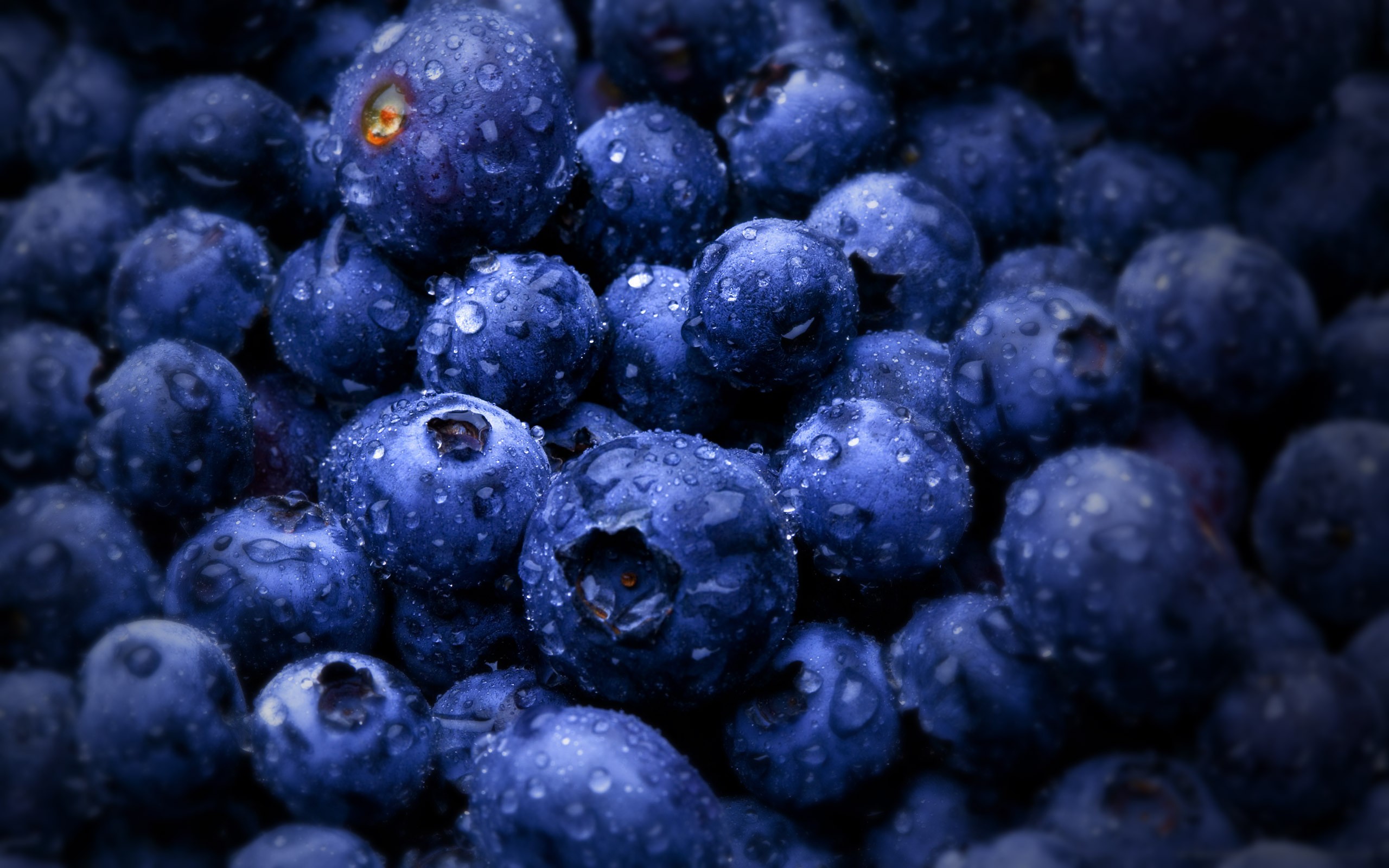 Close-up of wet blueberries with water drops HD Wallpaper