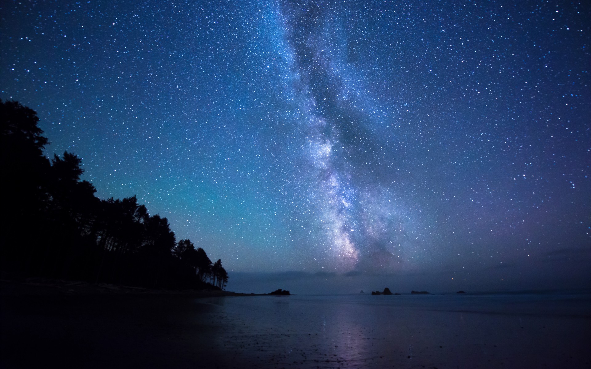Milky Way over a forest and beach at night HD Wallpaper