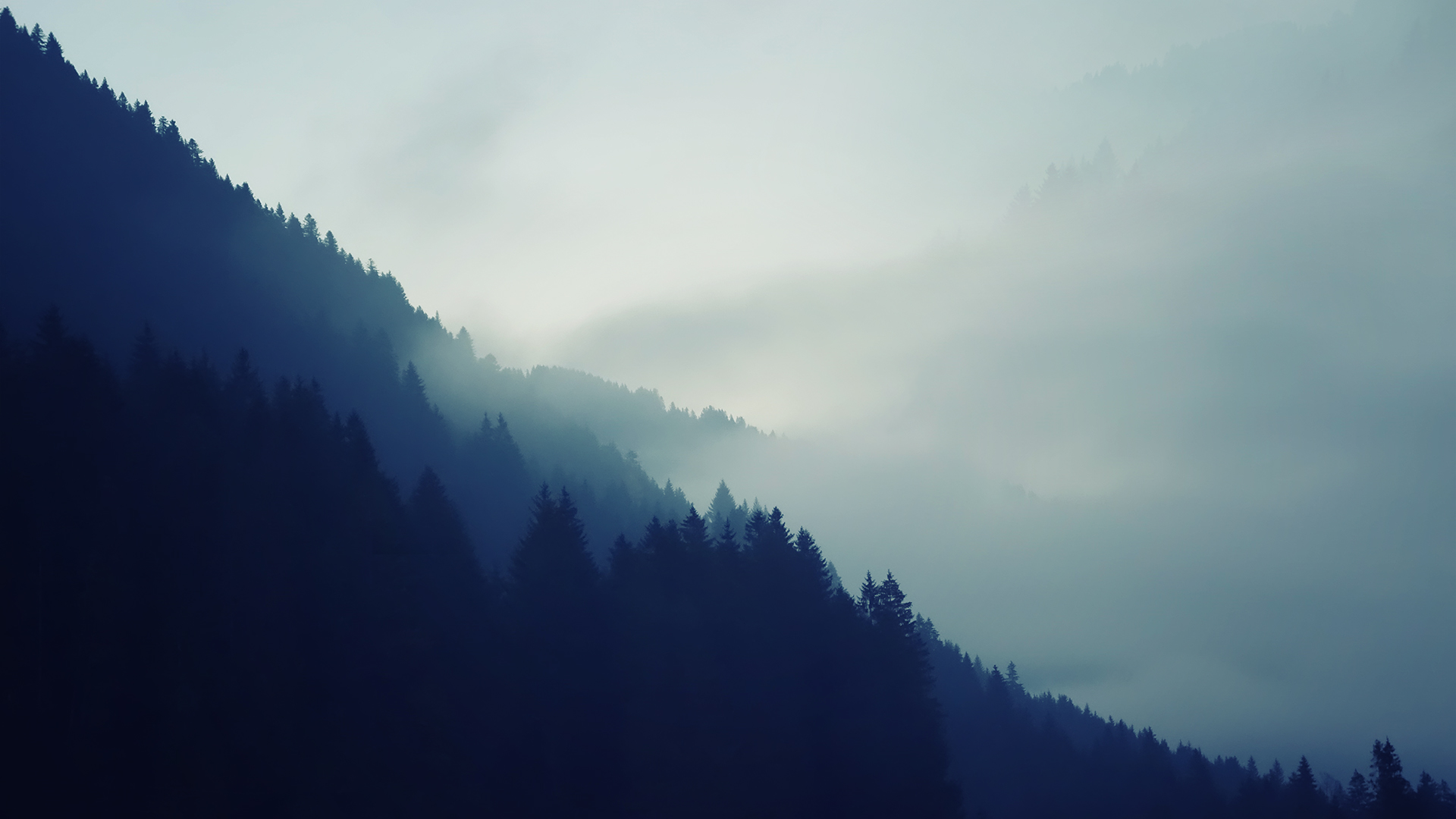 Misty mountains with silhouetted pine trees HD Wallpaper