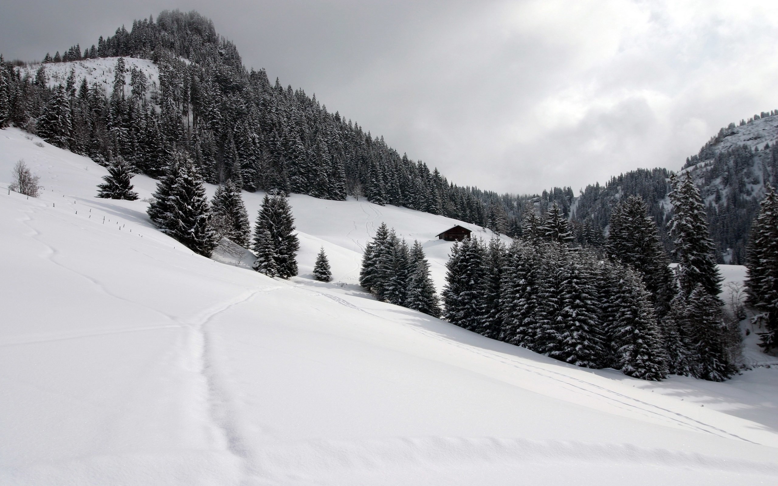 Snowy mountain landscape with pine trees and a cabin HD Wallpaper