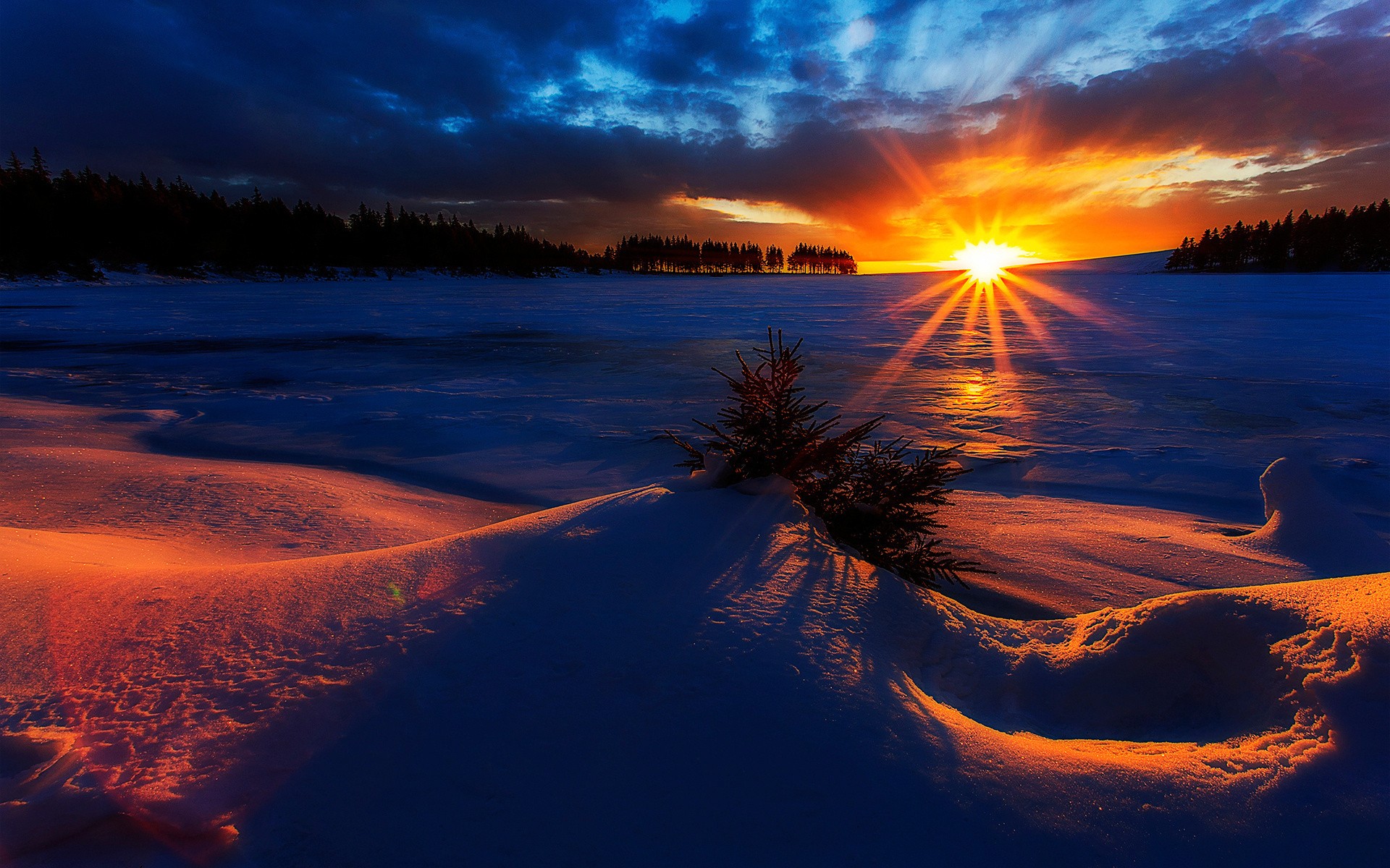Sunset over a snowy landscape with trees HD Wallpaper