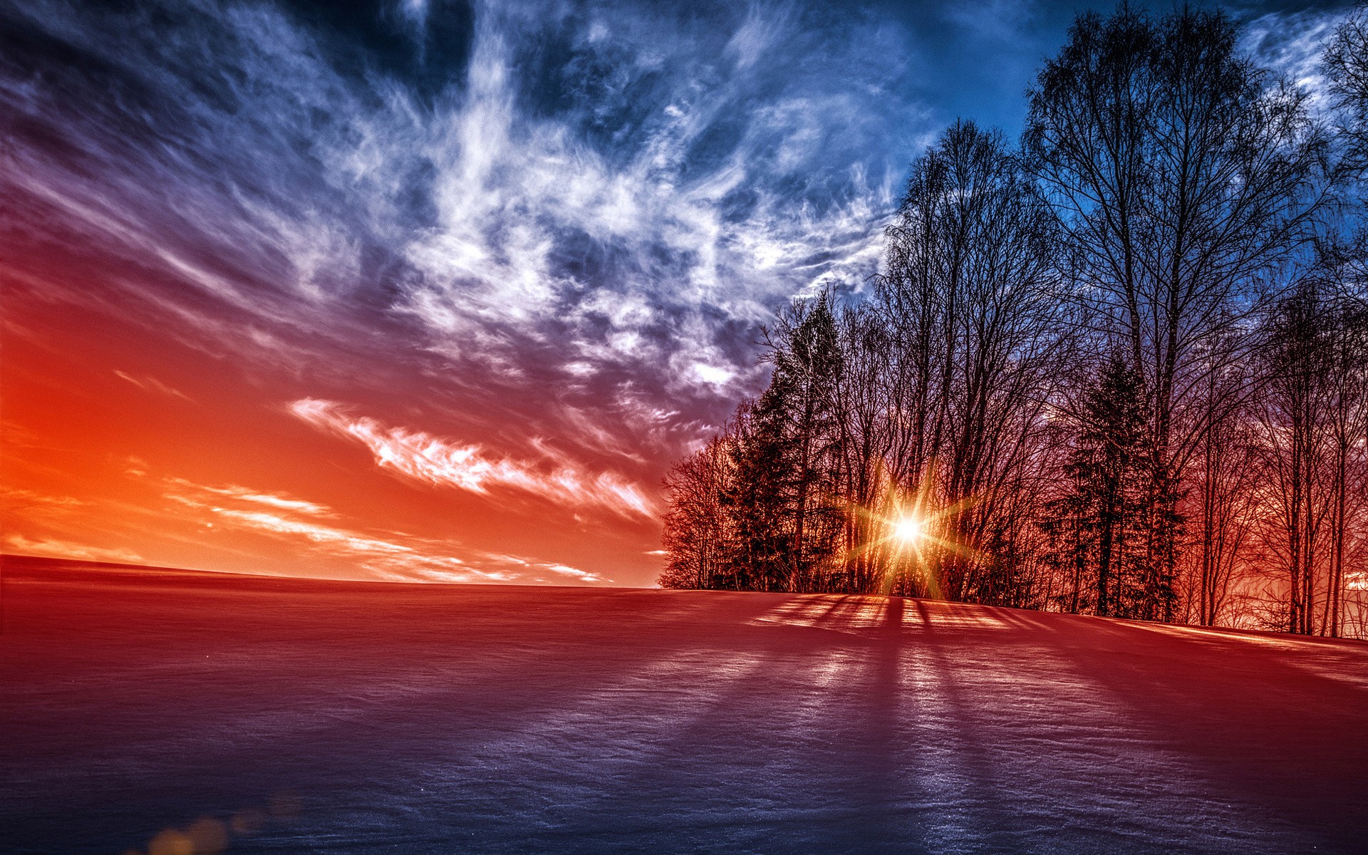 Winter sunset over a snowy field with trees HD Wallpaper