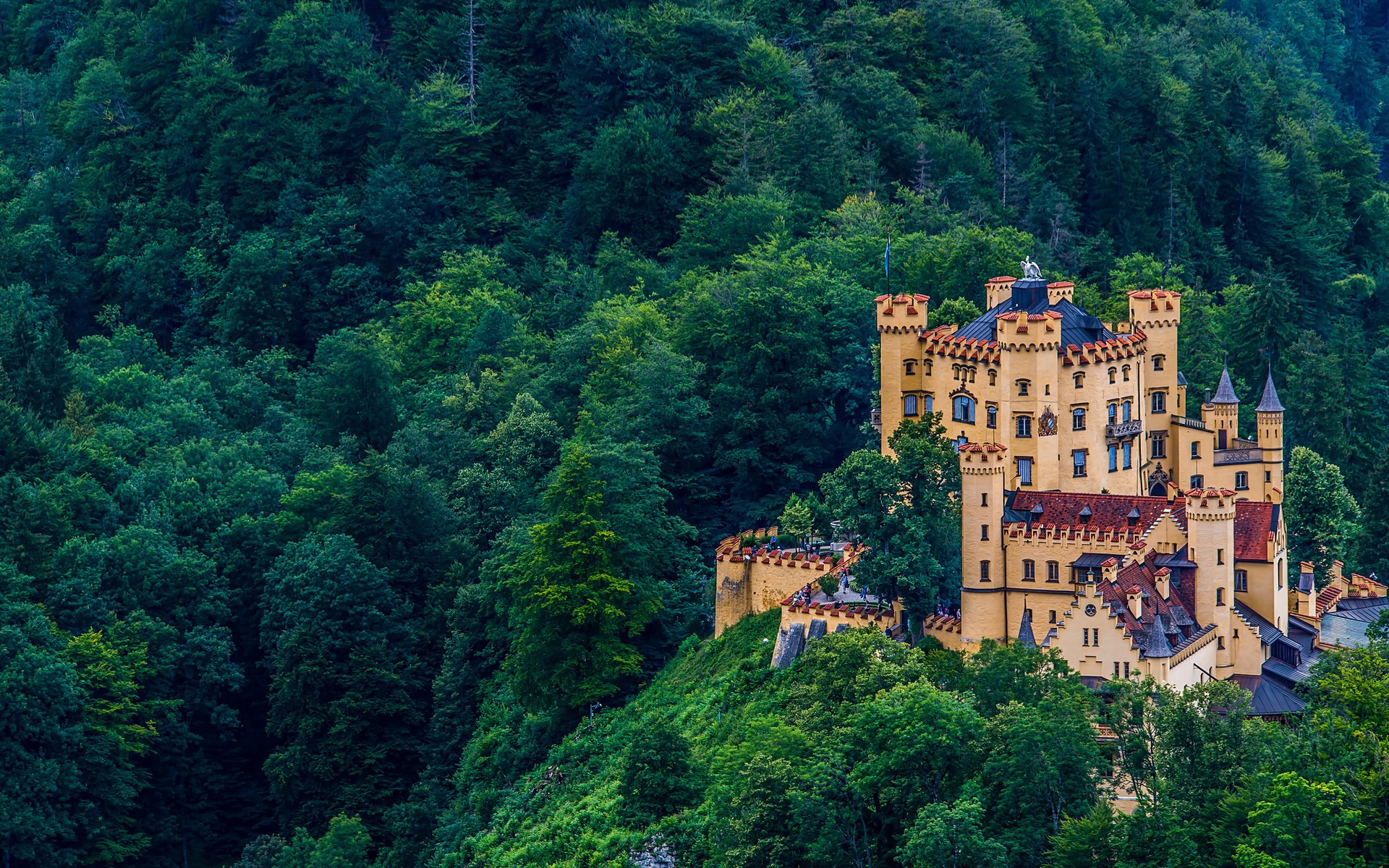 Schloss Hohenschwangau castle in a lush green forest HD Wallpaper