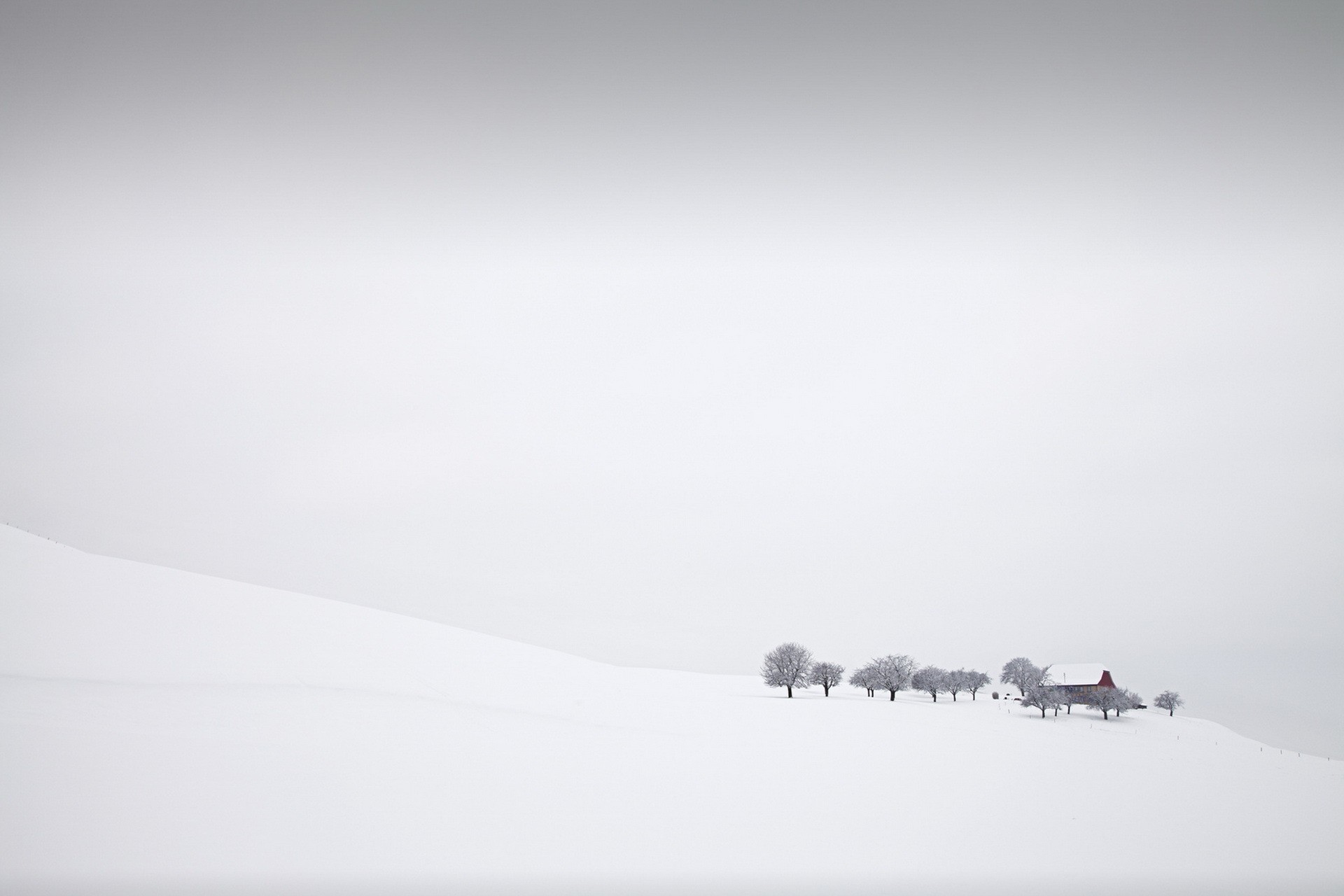 Snowy landscape with trees and a red barn HD Wallpaper
