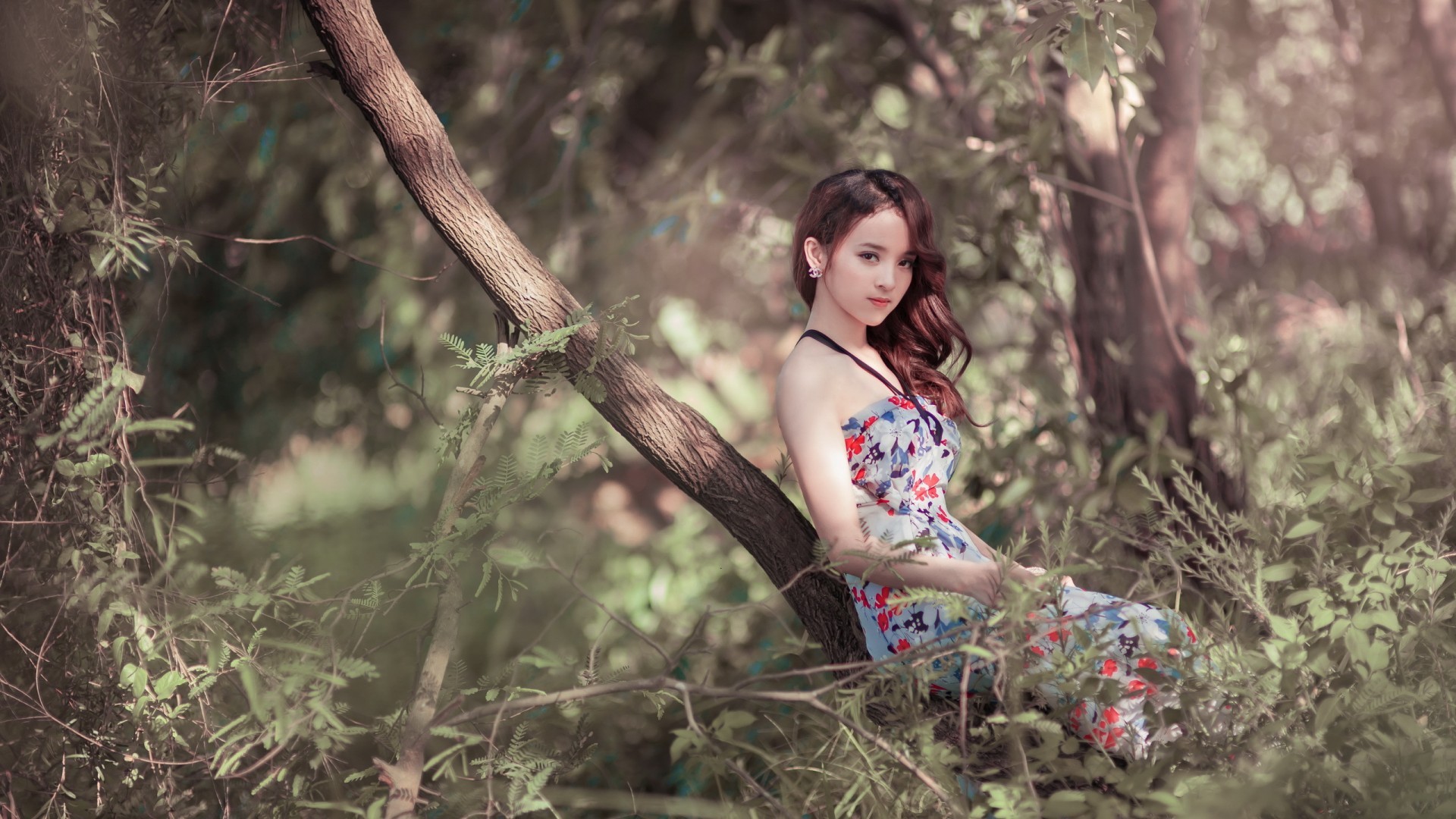 Asian model in a floral dress sitting on a tree branch HD Wallpaper