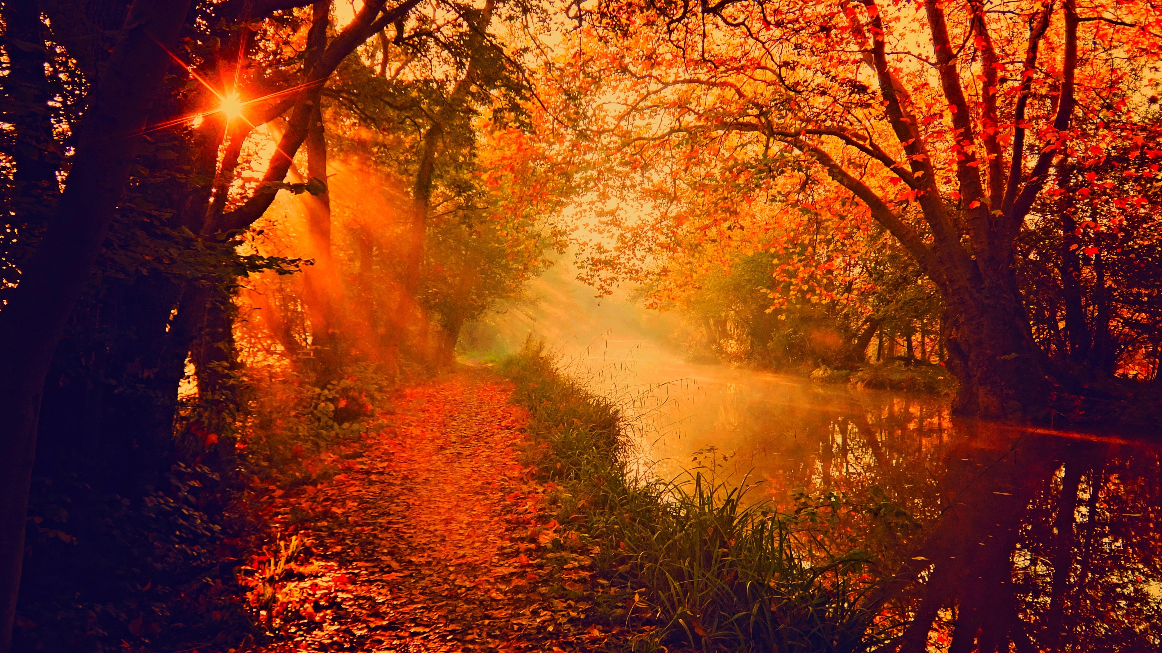 Sun rays through autumn trees along a misty river HD Wallpaper