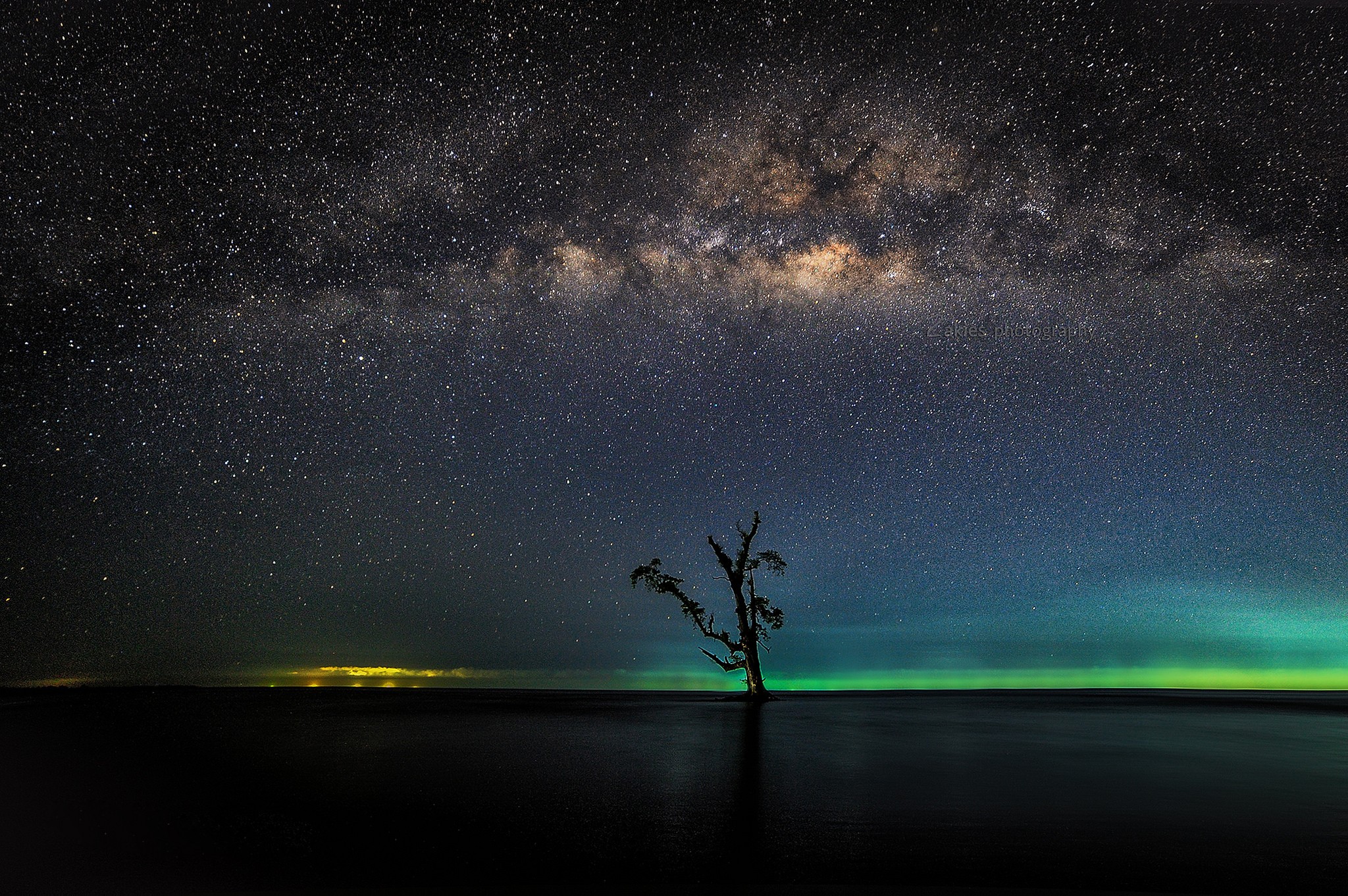 Tree under the Milky Way and Aurora HD Wallpaper