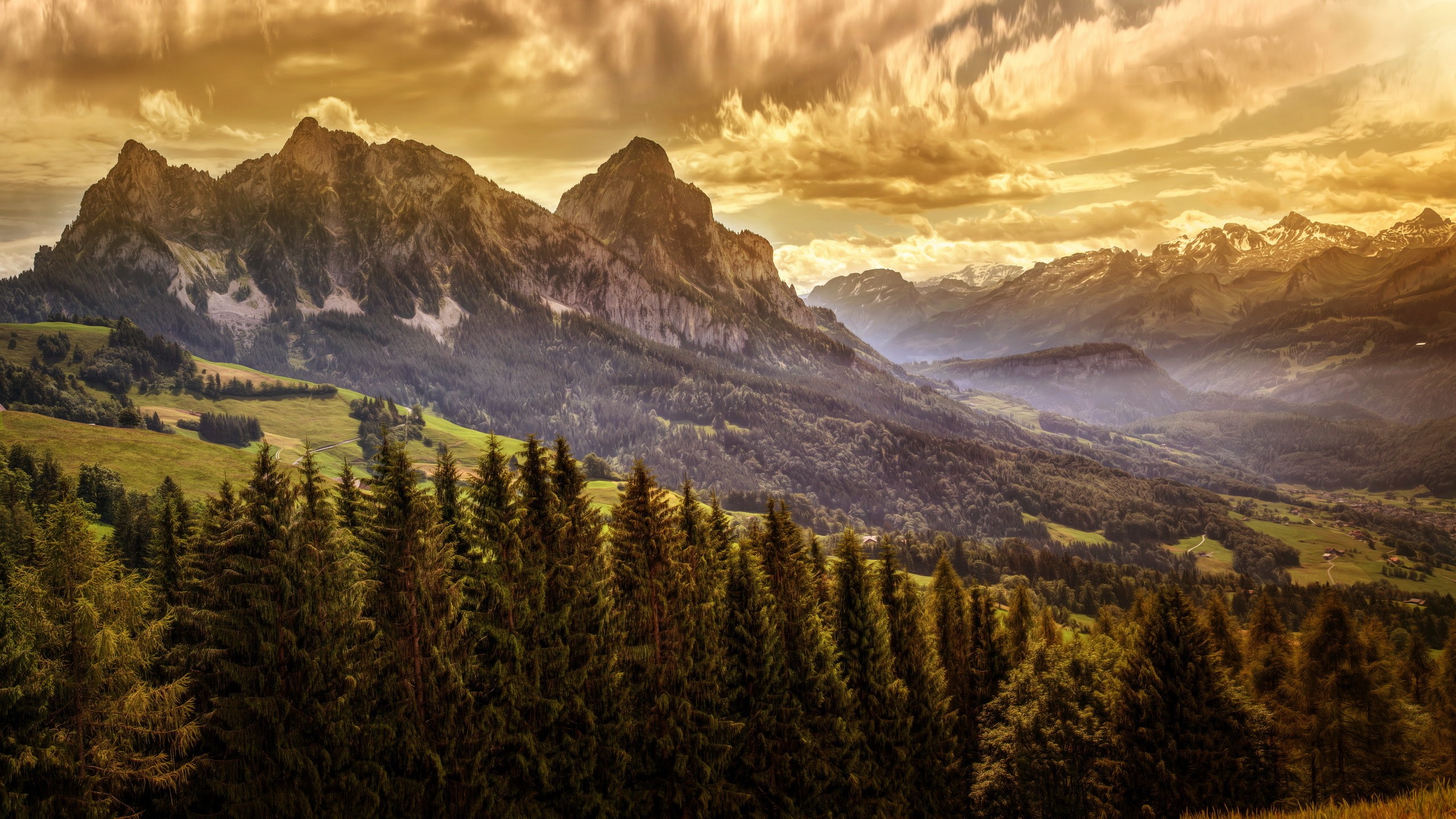 Mountain landscape with pine trees and dramatic sky HD Wallpaper
