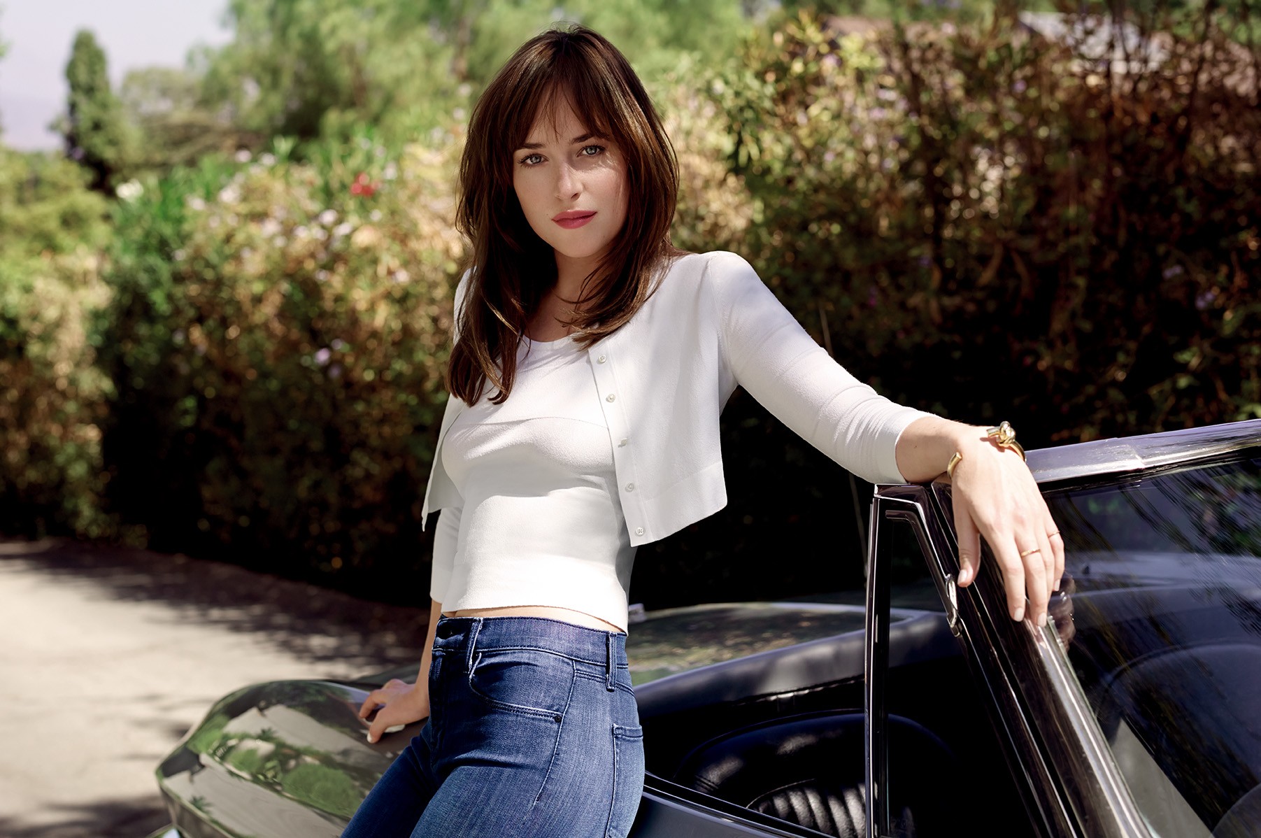 Dakota Johnson HD Wallpaper
