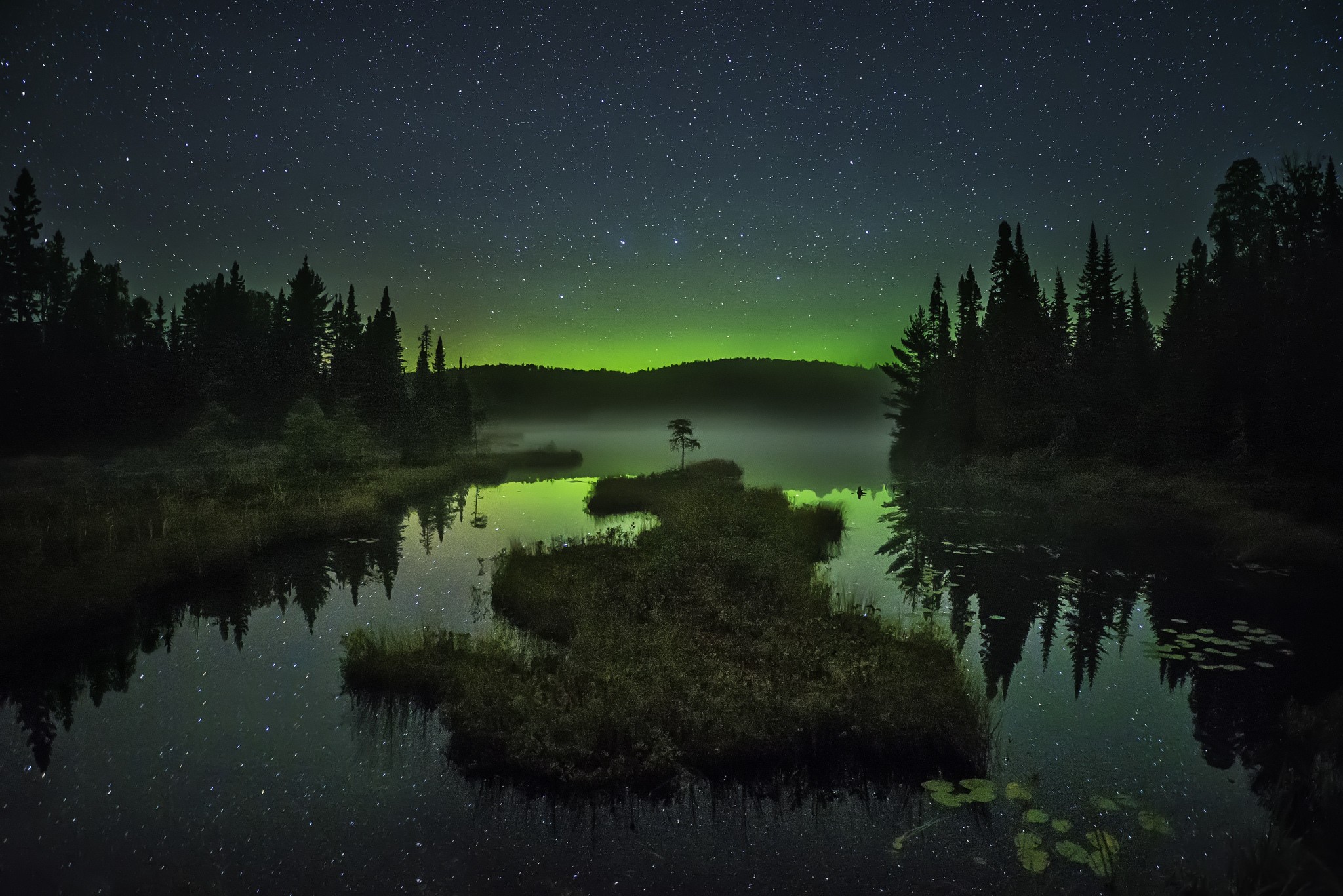 Aurora Borealis over a starry night lake with trees HD Wallpaper