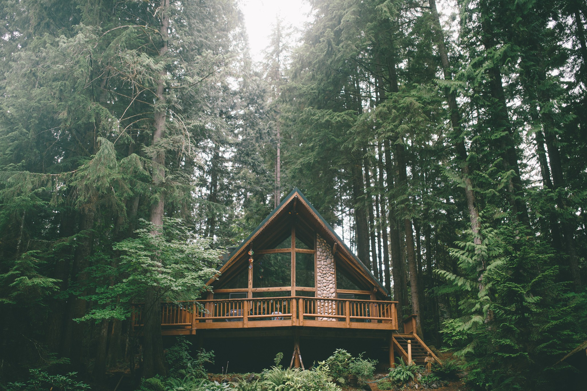 A-frame cabin in a dense forest HD Wallpaper