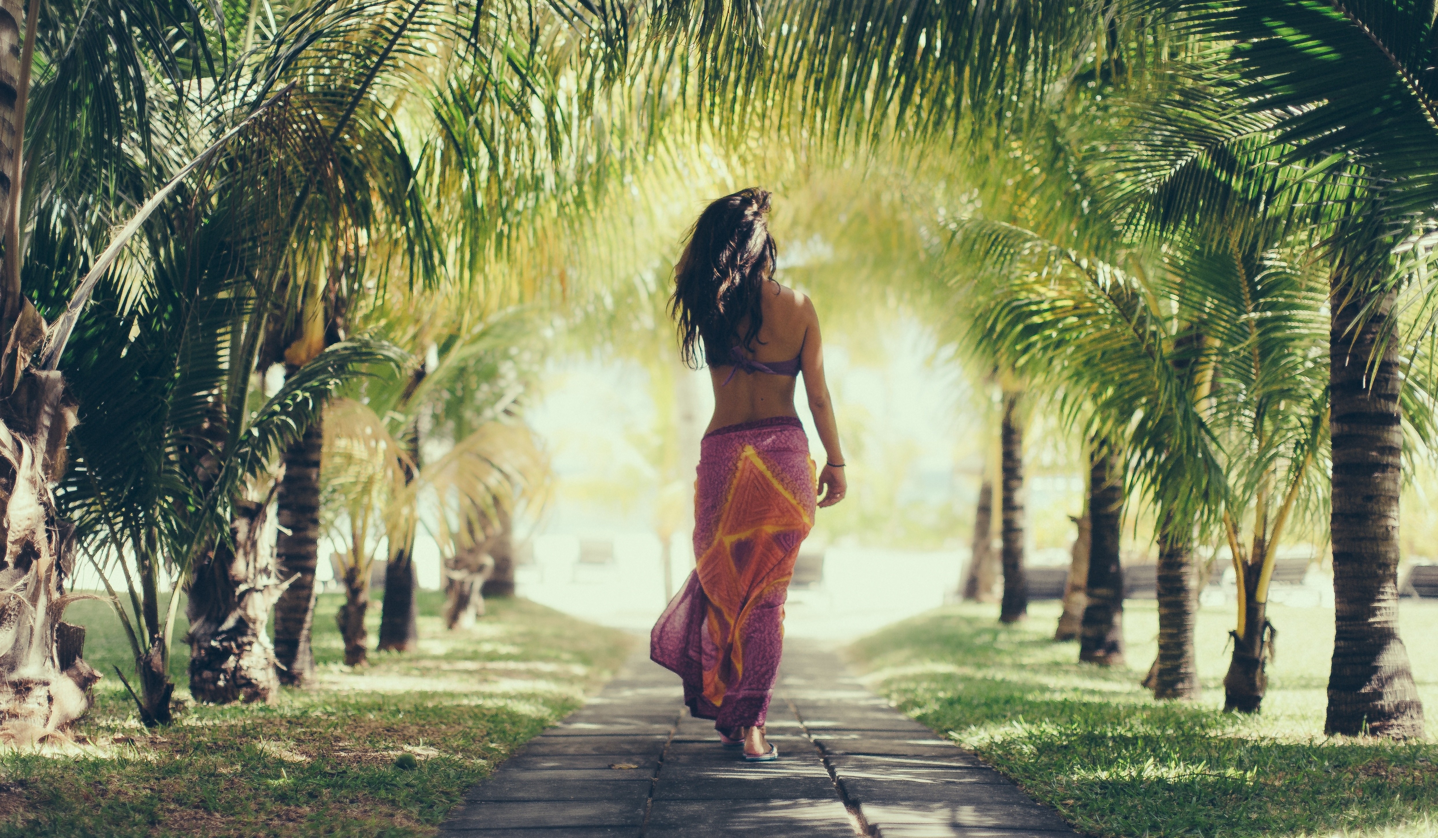 Woman walking on a path lined with palm trees HD Wallpaper