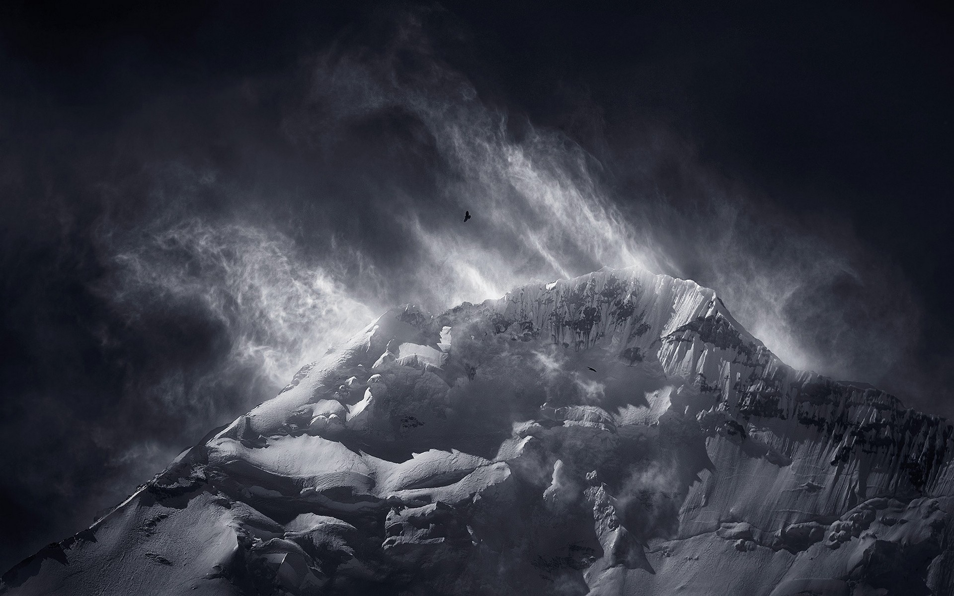 Monochrome snowy peak in the Himalayas with birds flying HD Wallpaper