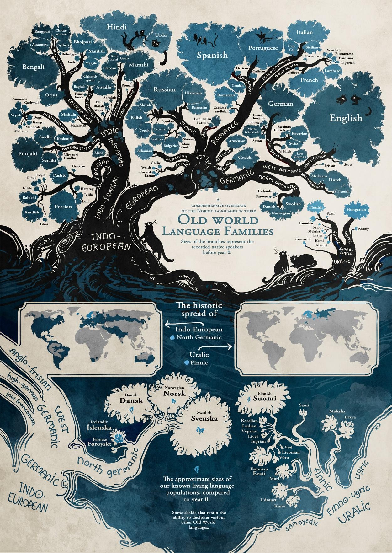 Old World Language Families Tree Diagram HD Wallpaper