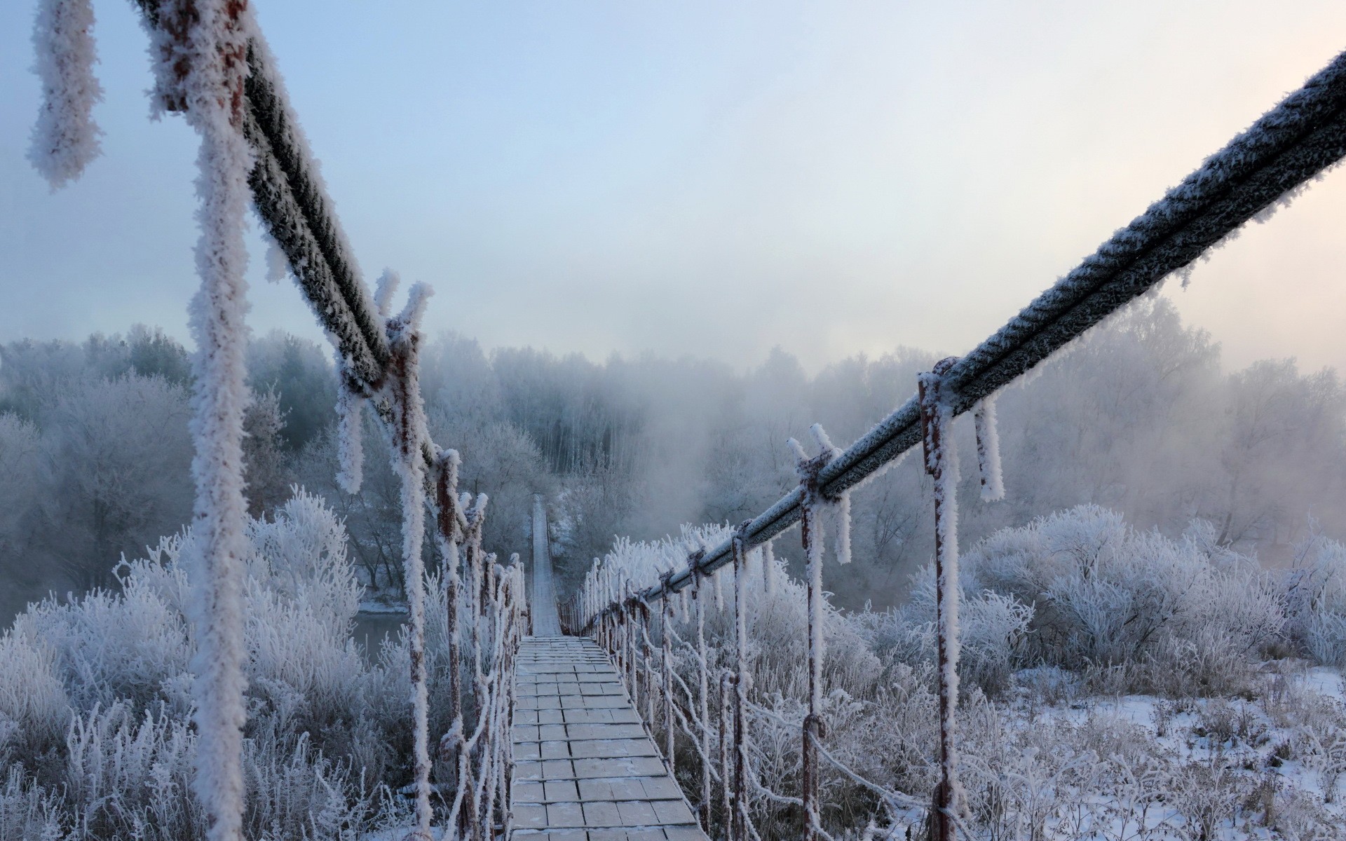 A frozen suspension bridge in a winter forest HD Wallpaper