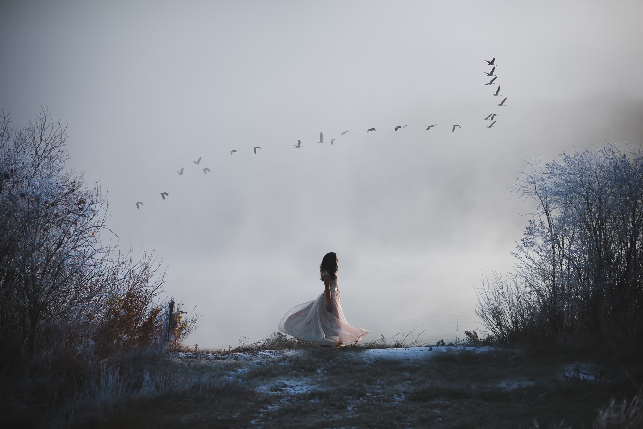 Woman in a dress with birds flying in formation HD Wallpaper