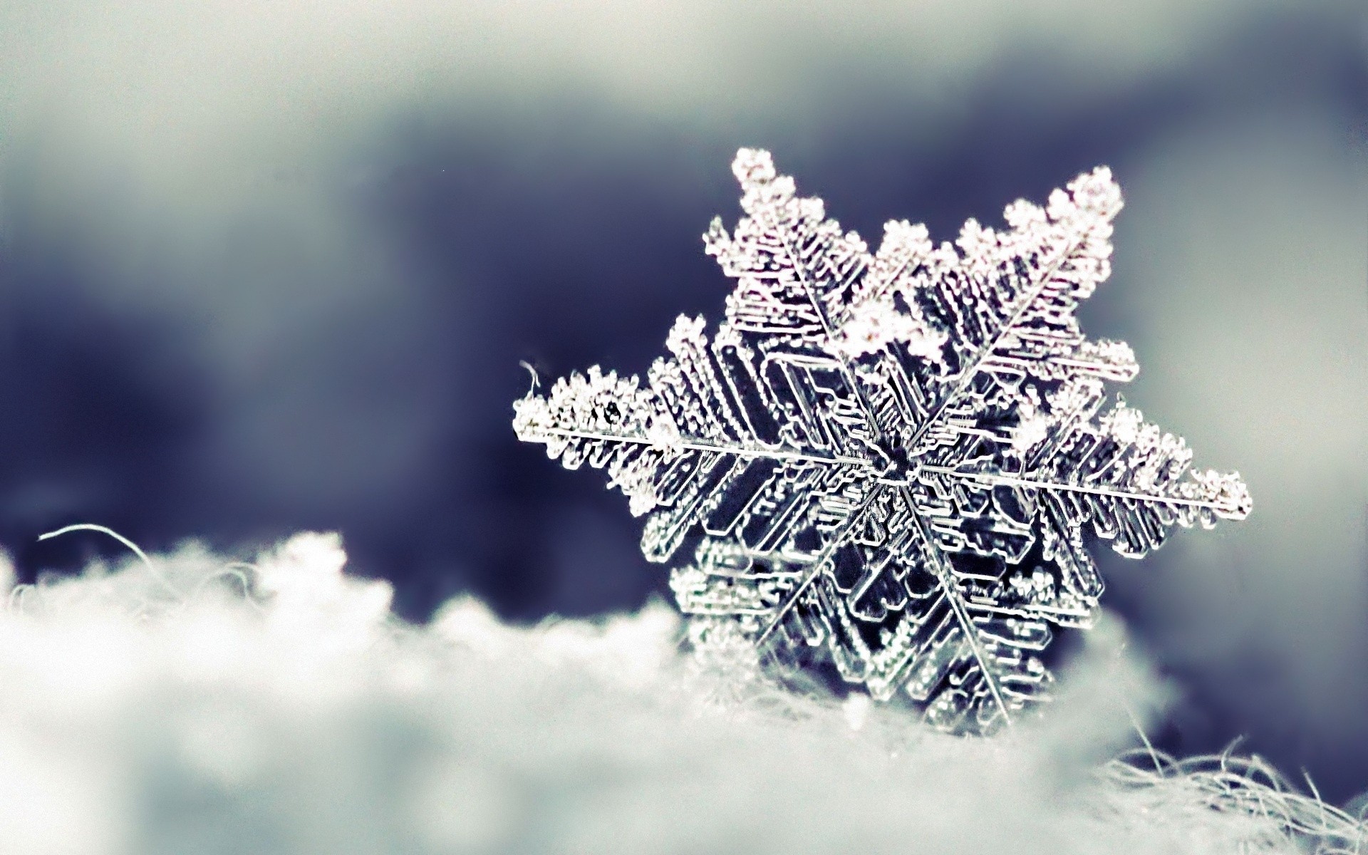 Macro photograph of a snowflake on snow HD Wallpaper