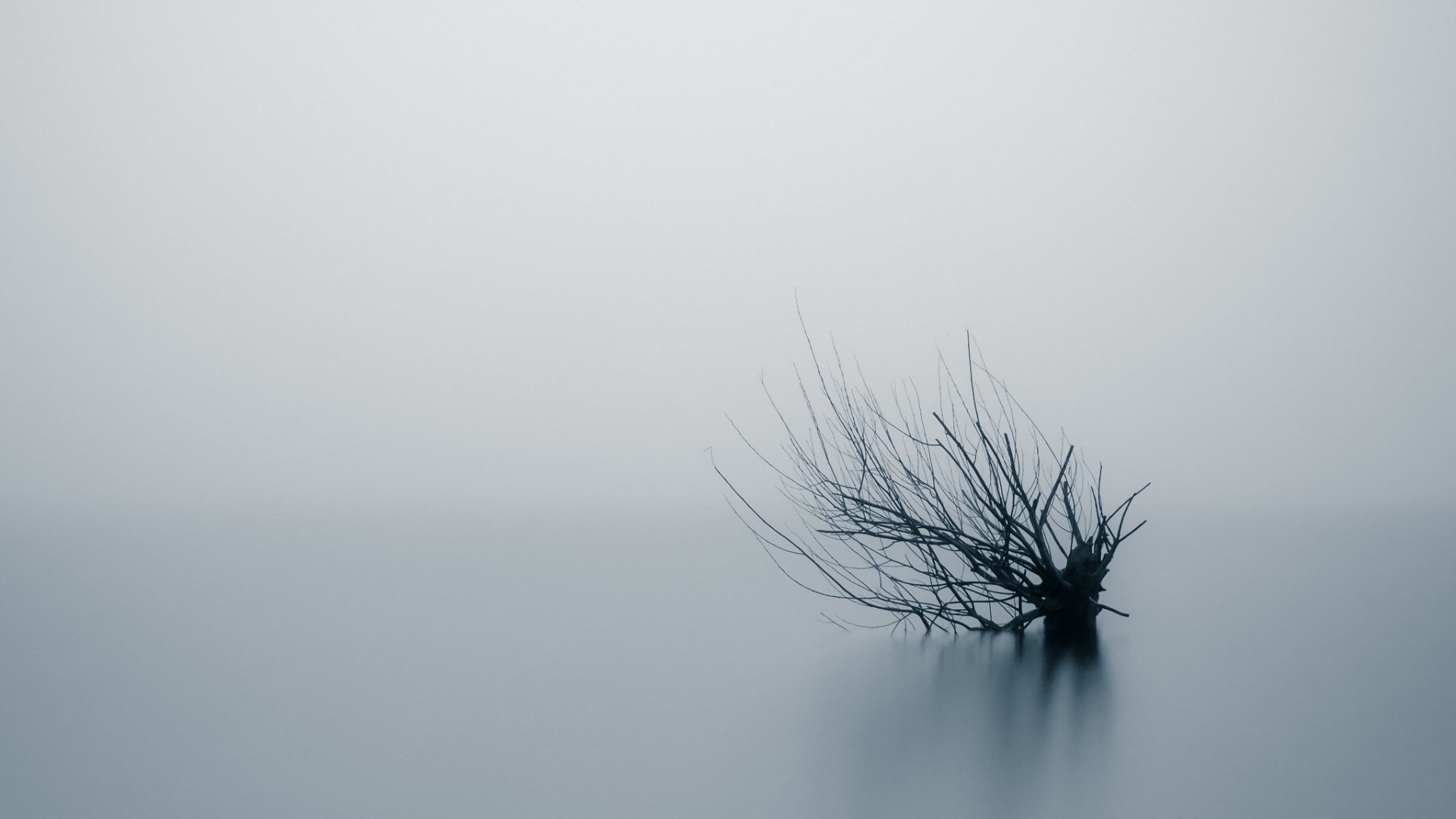 Minimalist long exposure of a bare tree in mist HD Wallpaper
