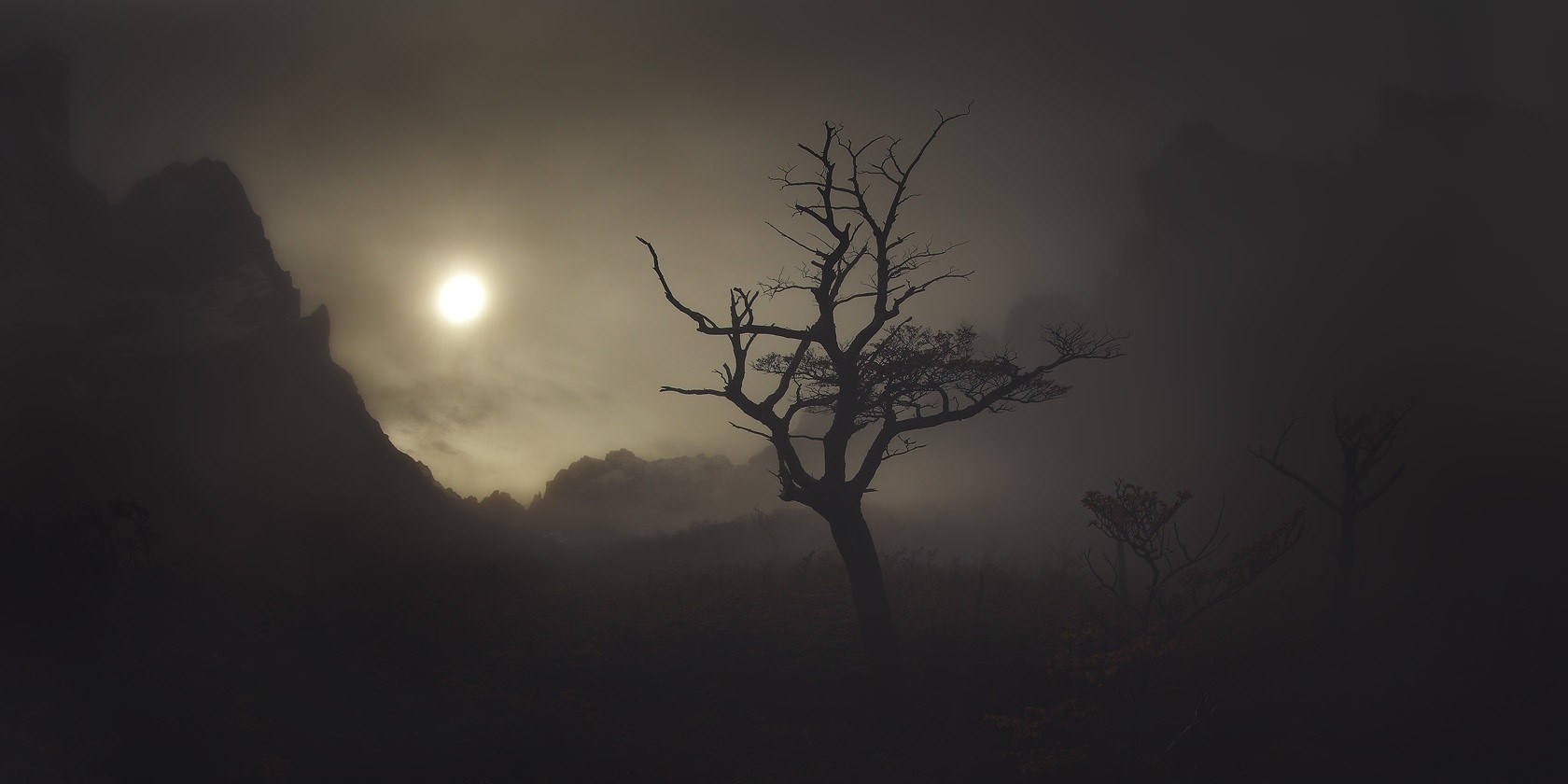 Patagonia mountains shrouded in mist with a dead tree HD Wallpaper