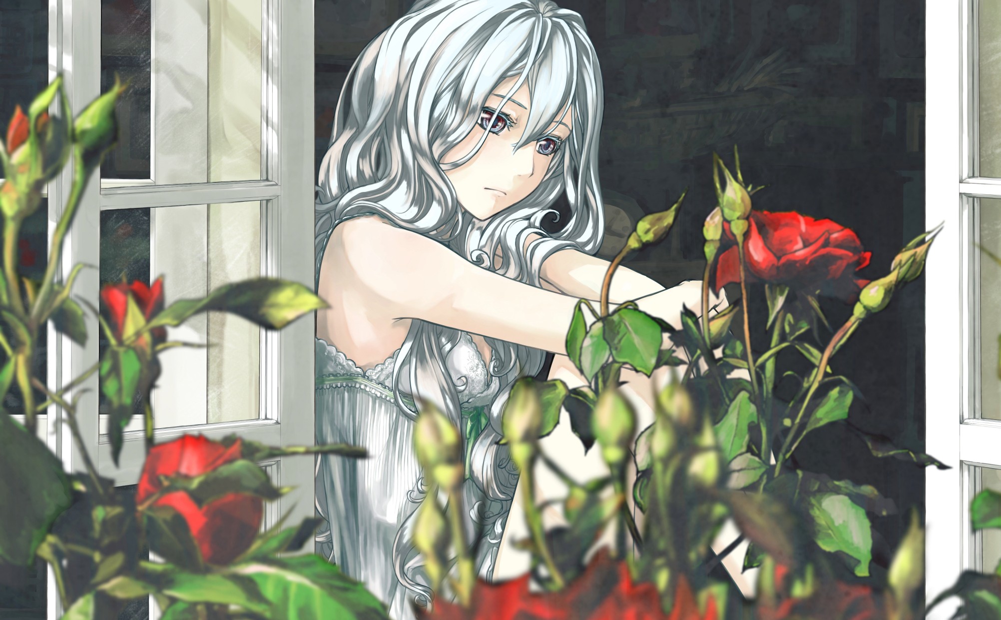 Anime girl with white hair and roses HD Wallpaper