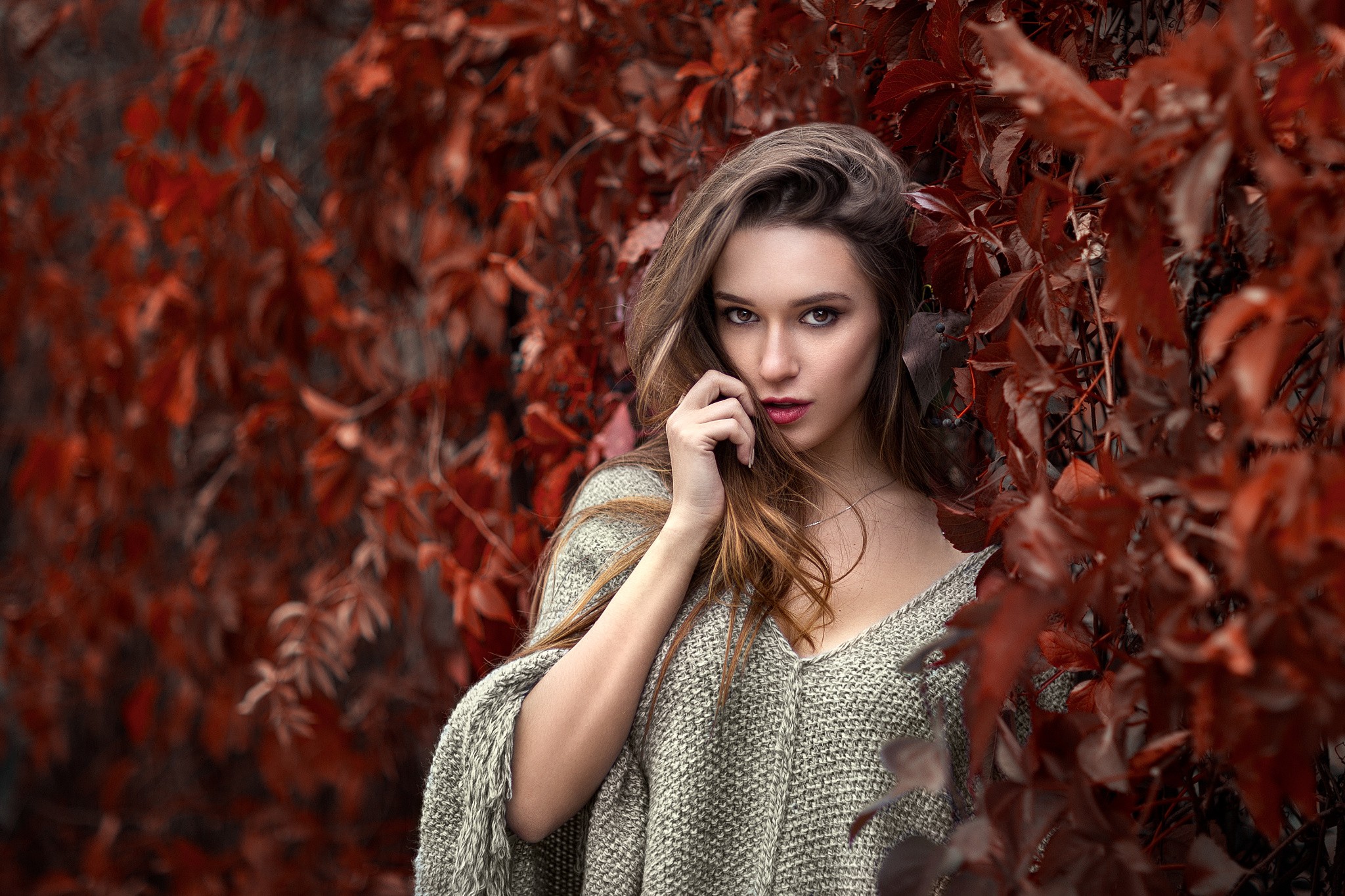 Woman in a sweater surrounded by red leaves HD Wallpaper