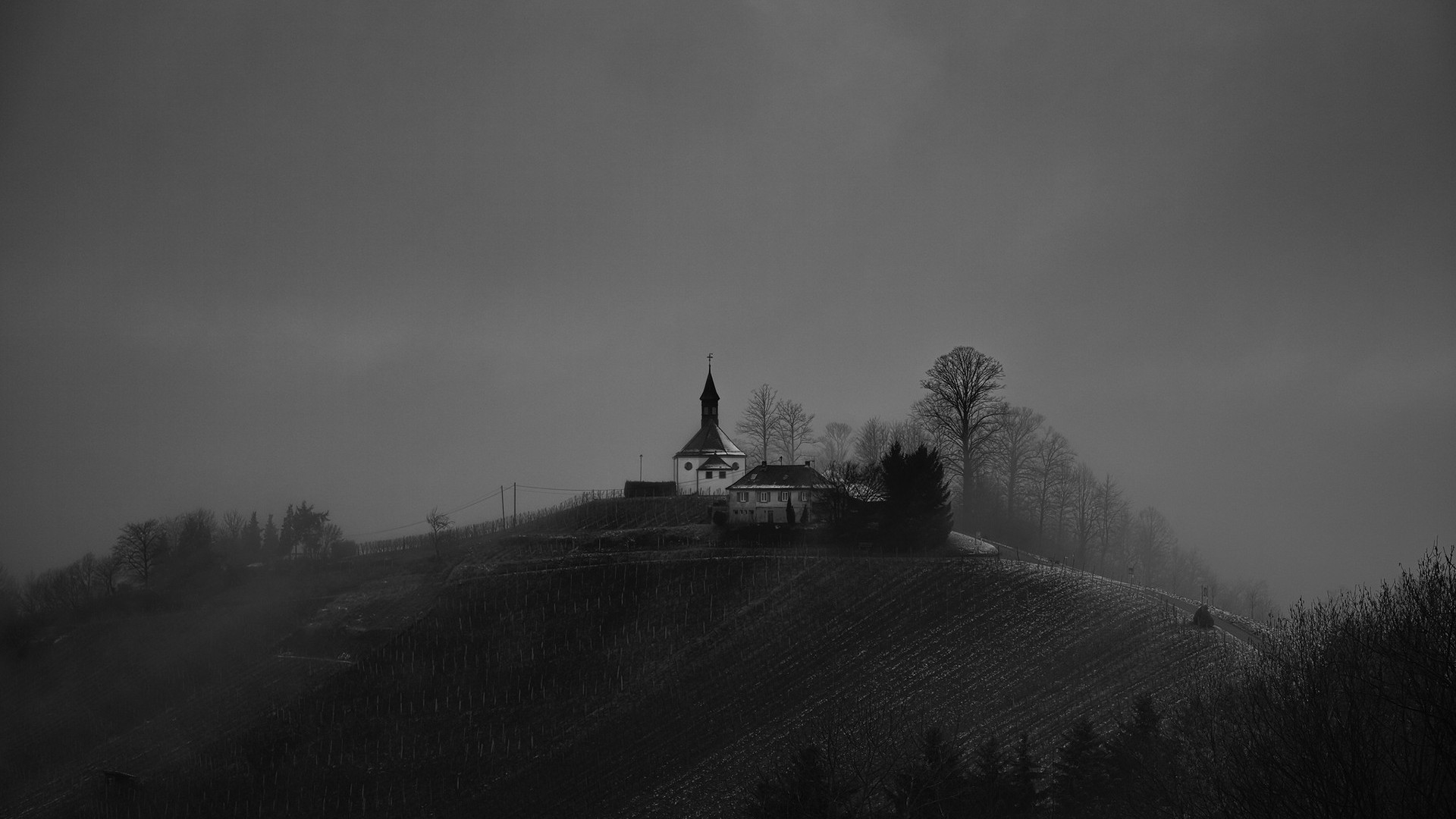 Church and house on a misty hill with vineyards HD Wallpaper