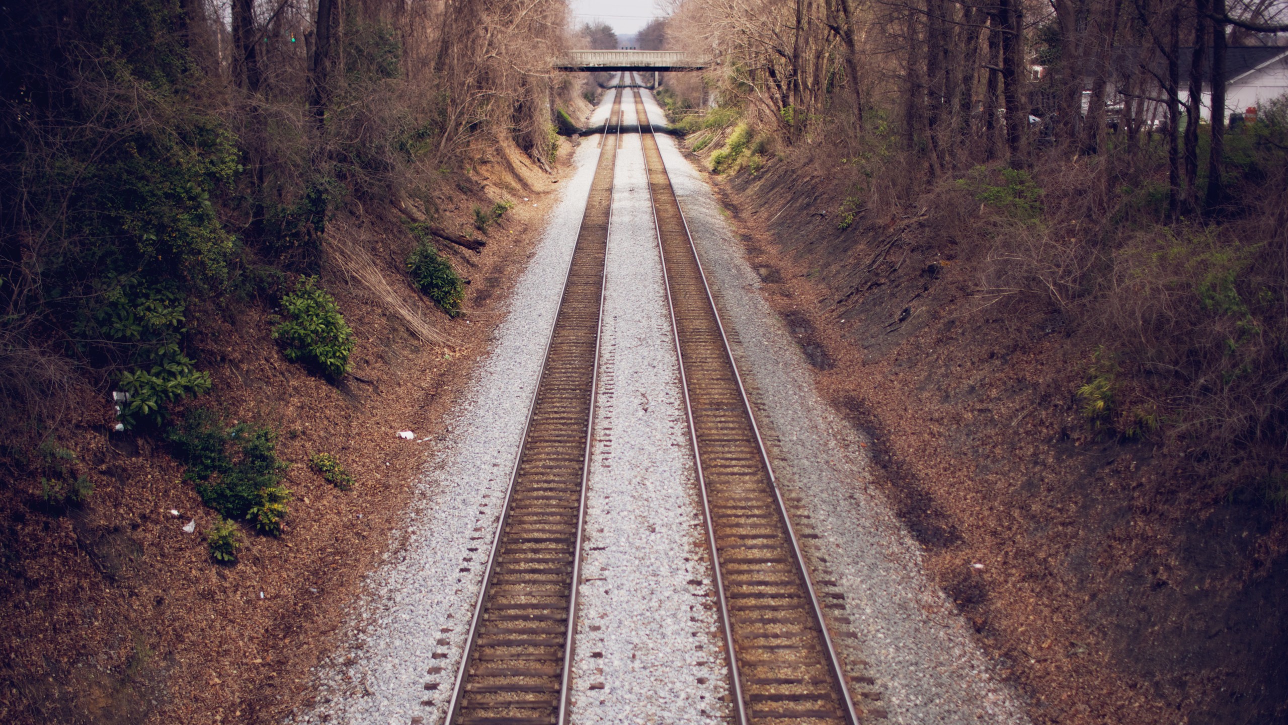 Train tracks leading to a bridge in a forest HD Wallpaper