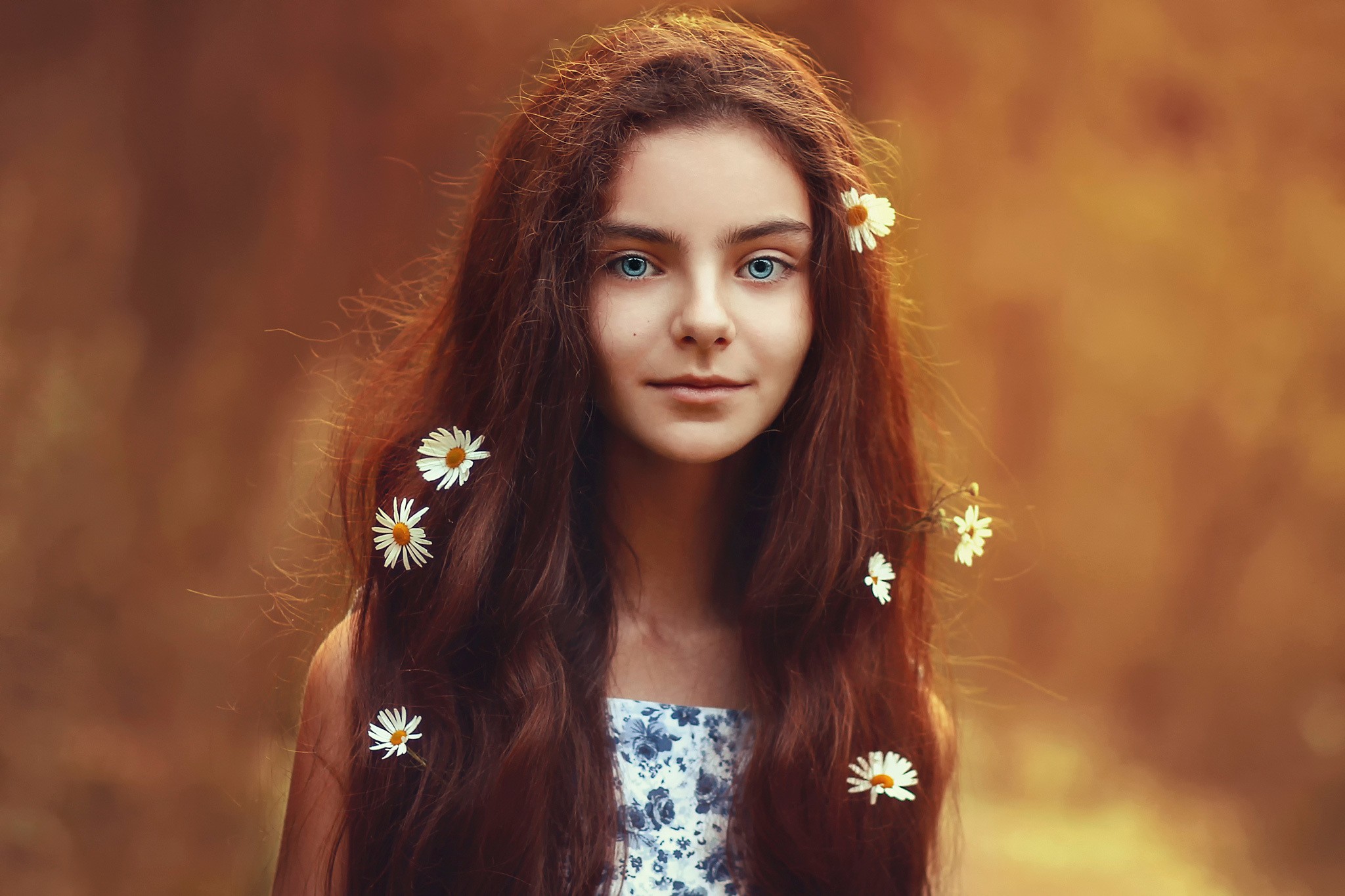 Portrait of a young woman with daisies in her hair HD Wallpaper