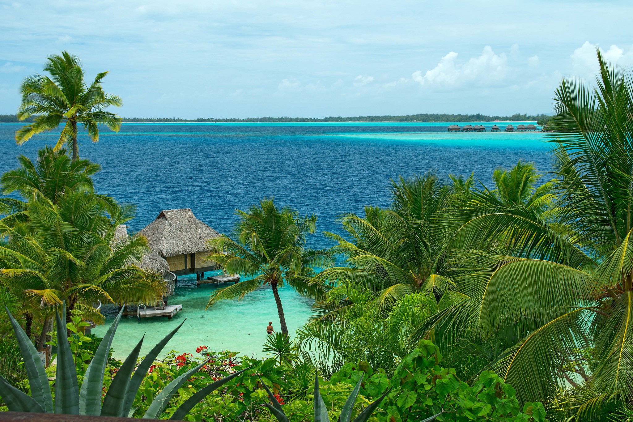 Overwater bungalows in a tropical lagoon with palm trees HD Wallpaper