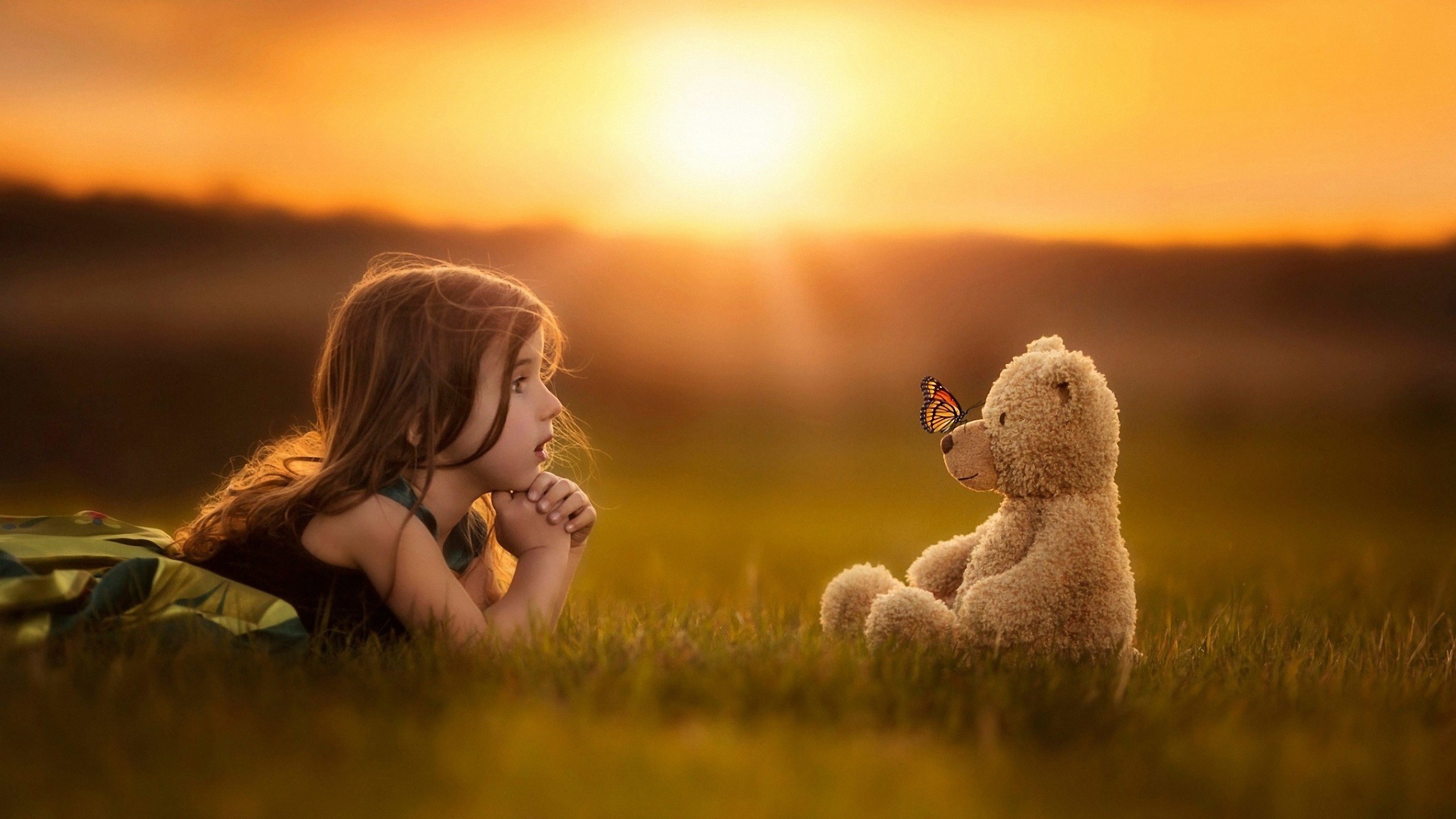 Girl and teddy bear with butterfly at sunset HD Wallpaper