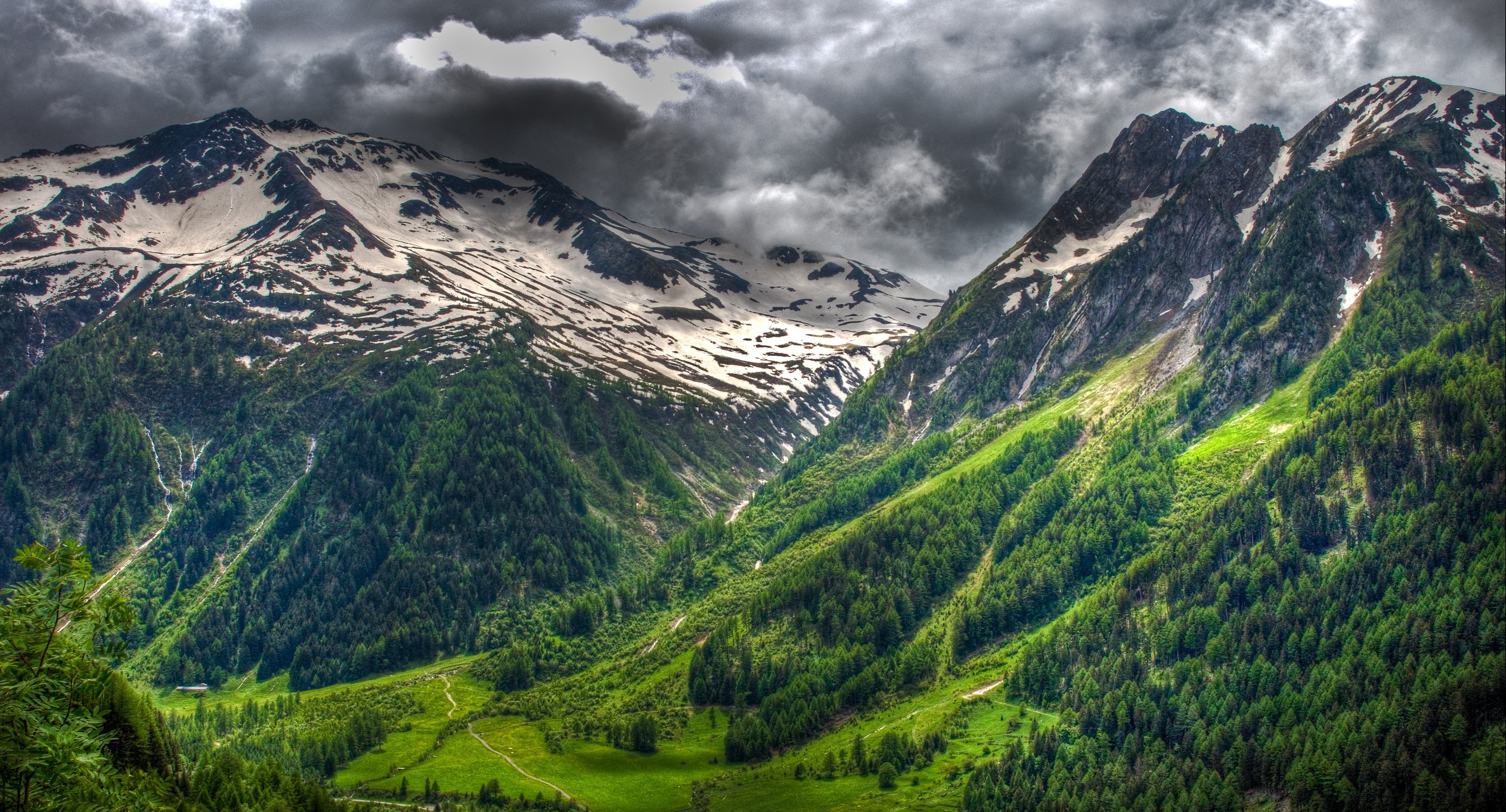 Snowy peaks and green forests in the Swiss Alps HD Wallpaper