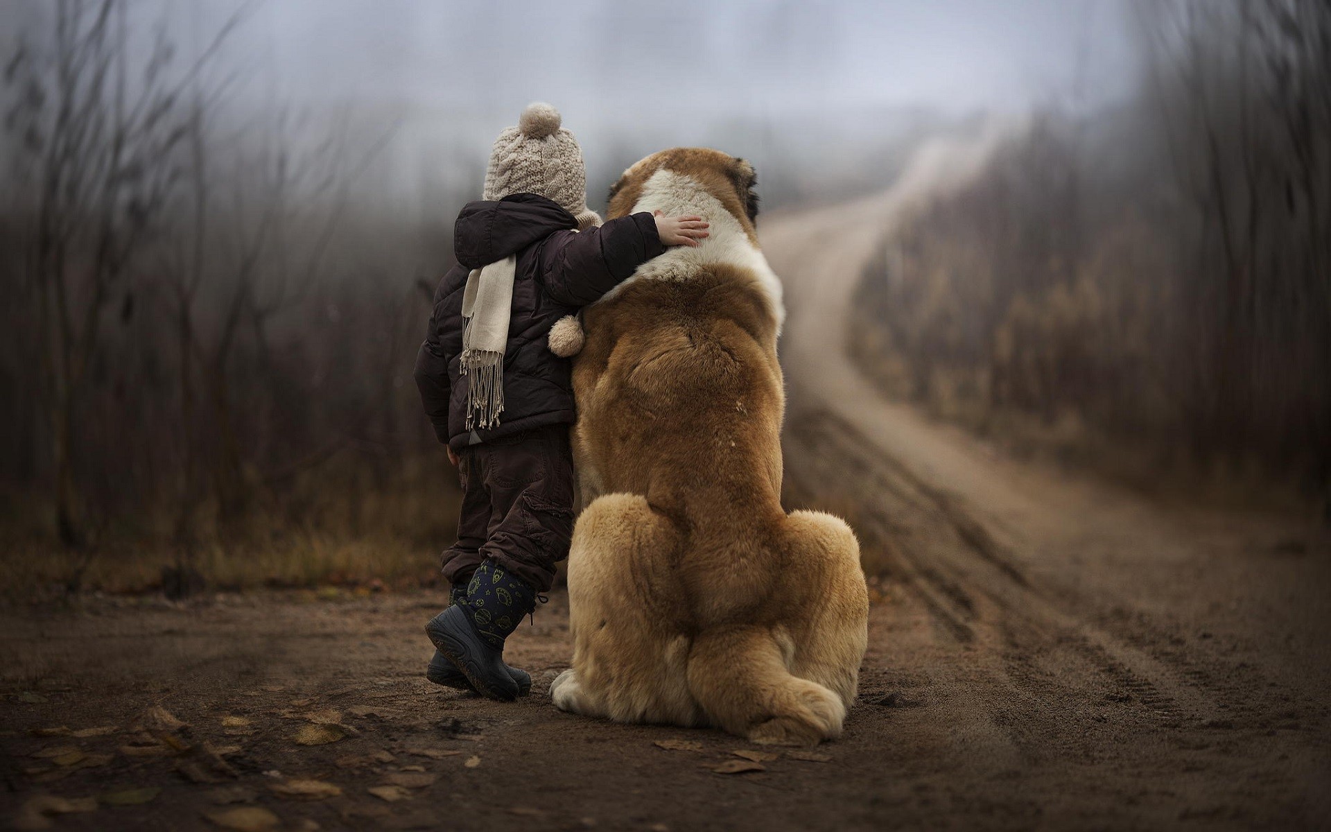 Child hugging a large dog on a dirt road HD Wallpaper