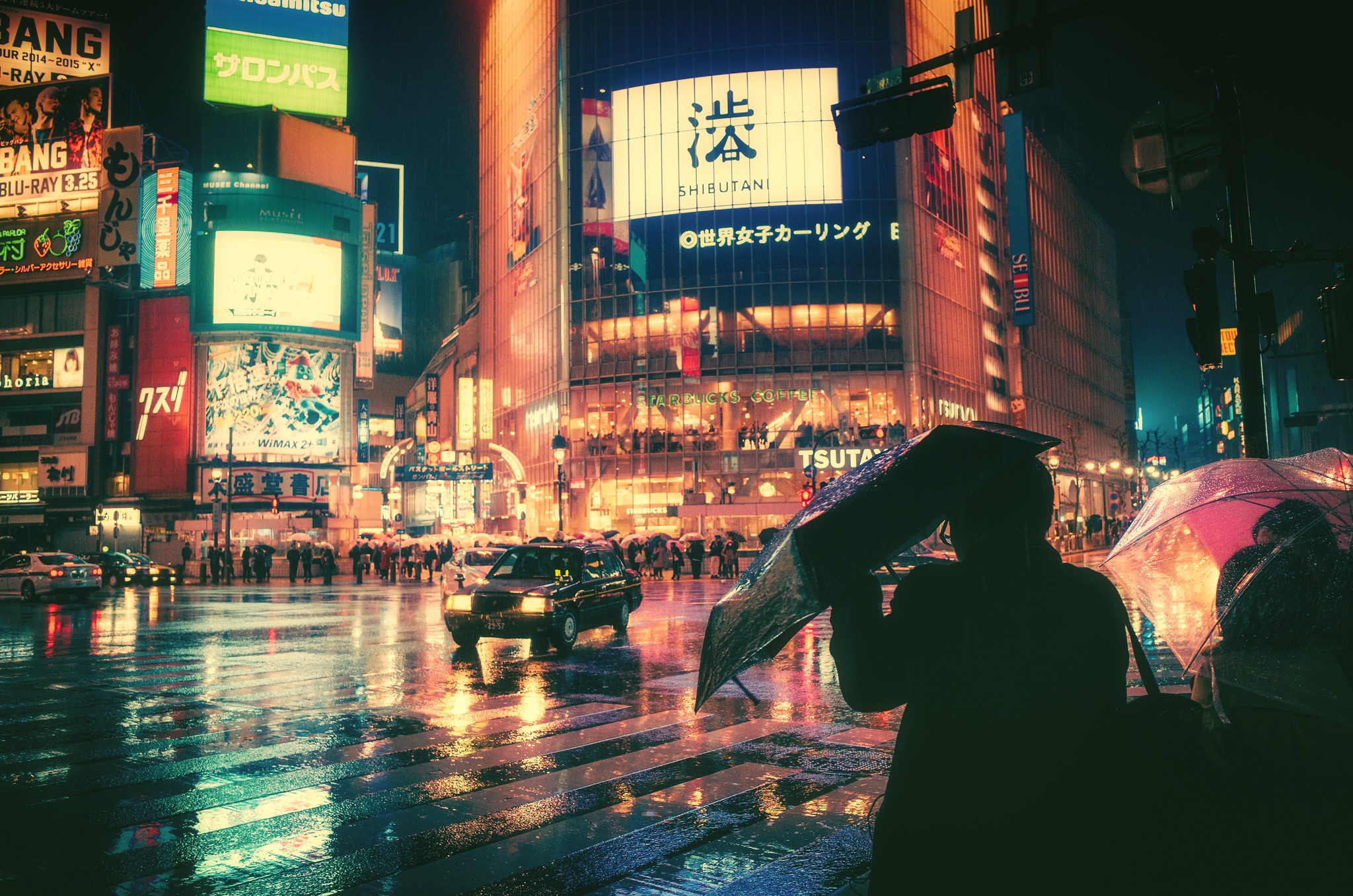 Shibuya Crossing at Night in the Rain HD Wallpaper