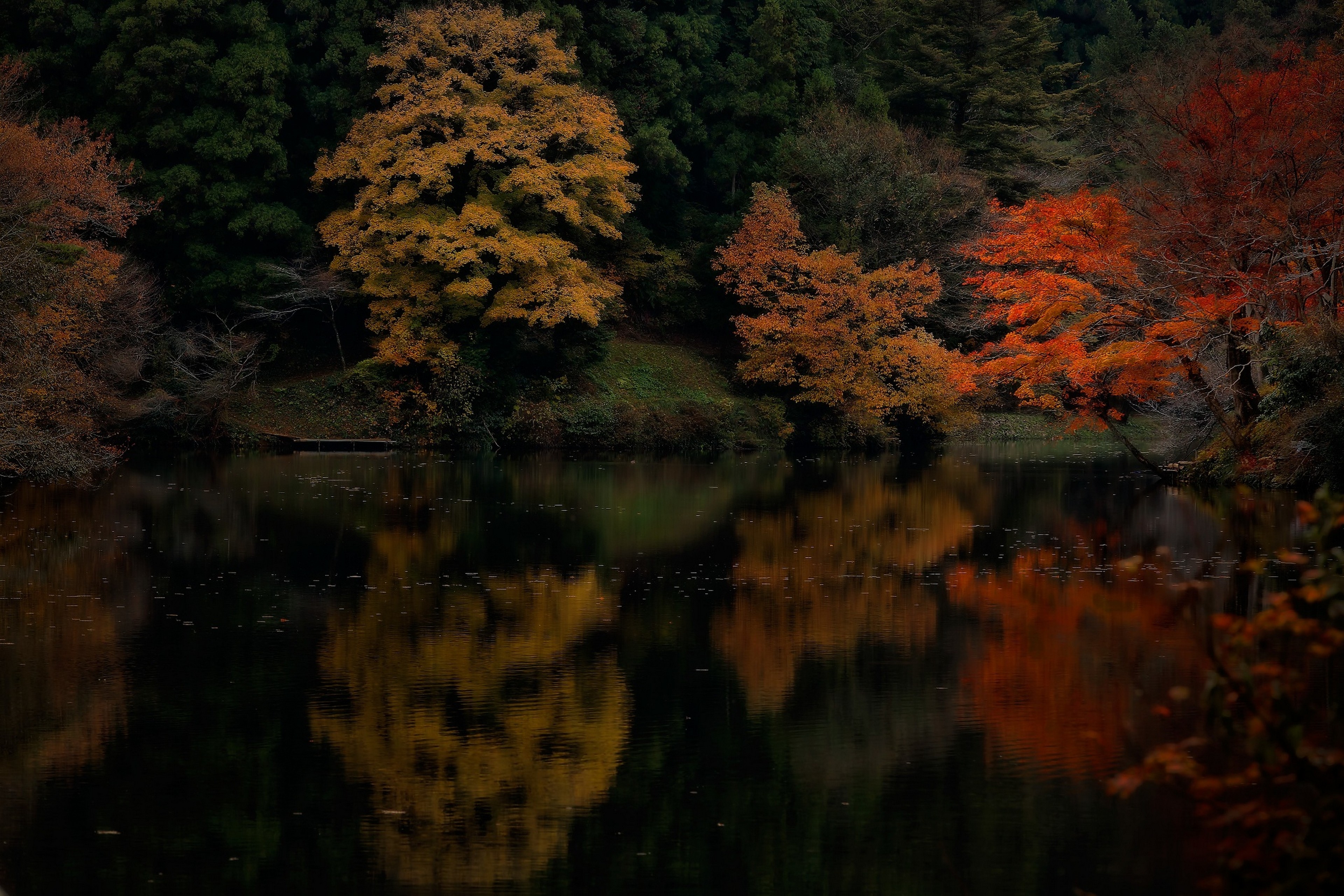 Autumn trees reflected in a dark lake HD Wallpaper