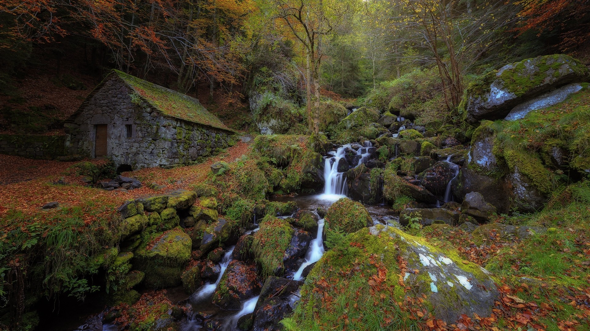 Stone cottage and mossy waterfall in autumn forest HD Wallpaper