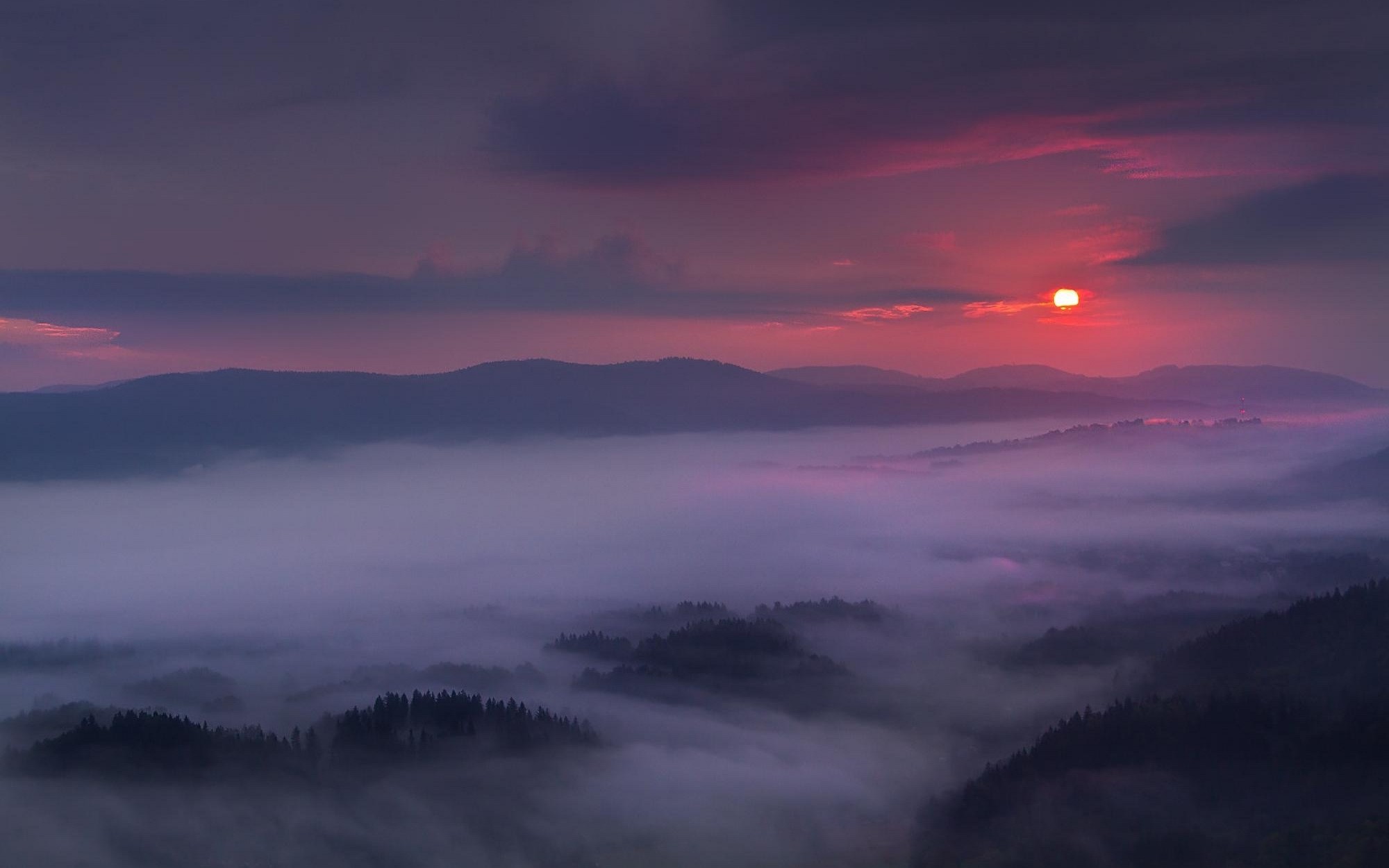 Purple sunset over misty mountains and forest HD Wallpaper