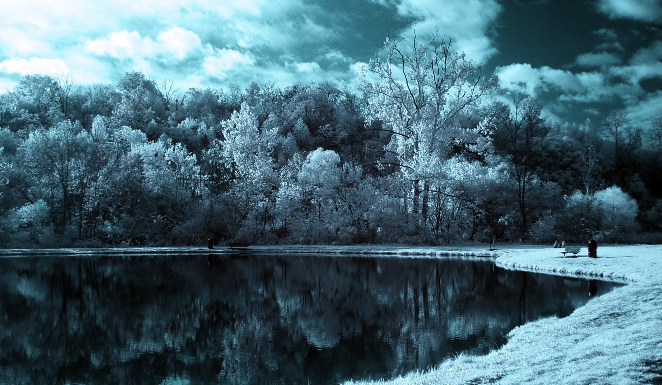 Trees reflected in a lake with clouds HD Wallpaper