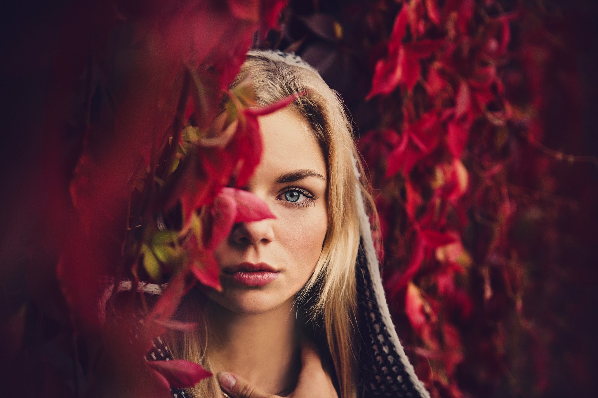 Woman with blue eyes and blonde hair among red leaves HD Wallpaper