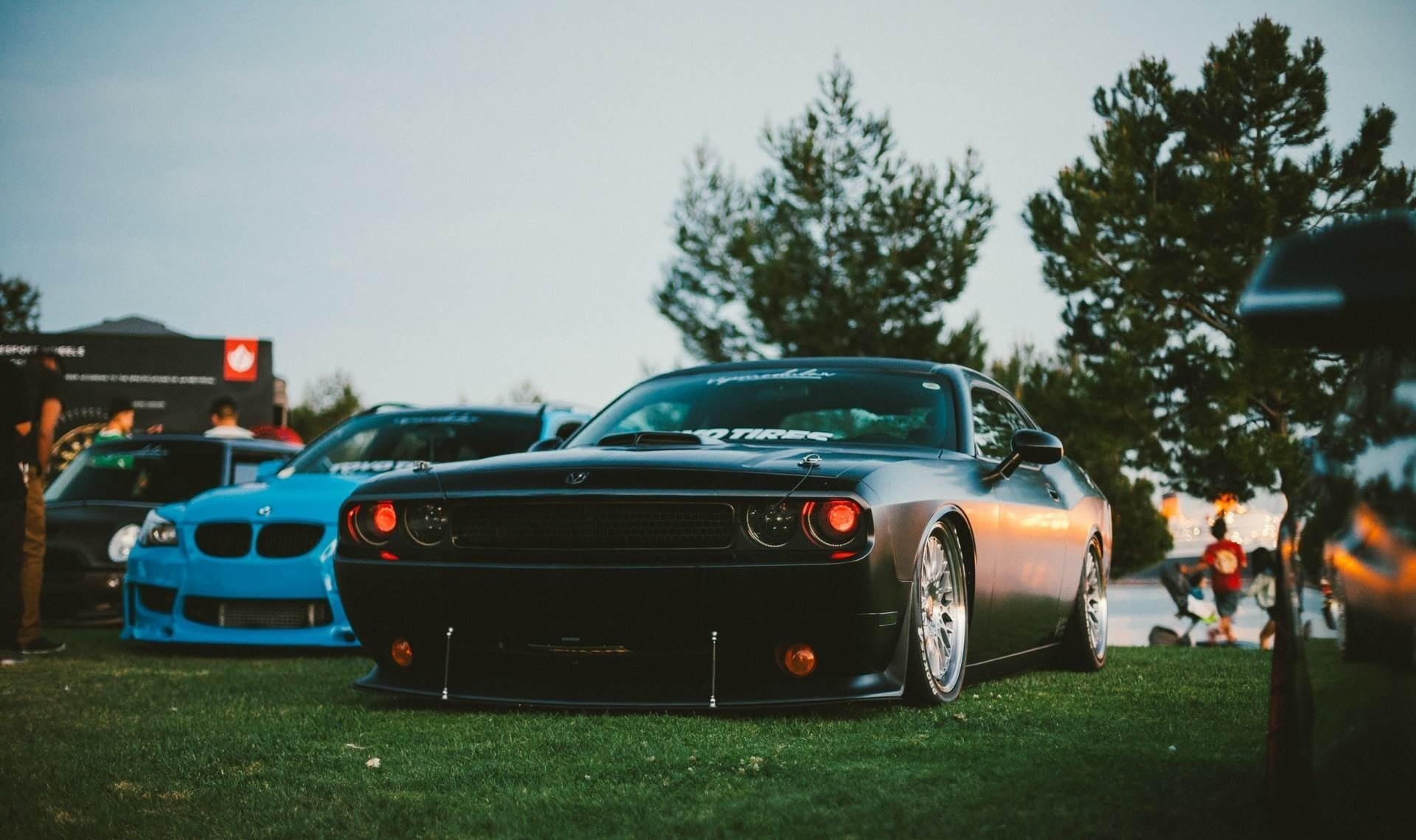 Black Dodge Challenger parked on grass HD Wallpaper