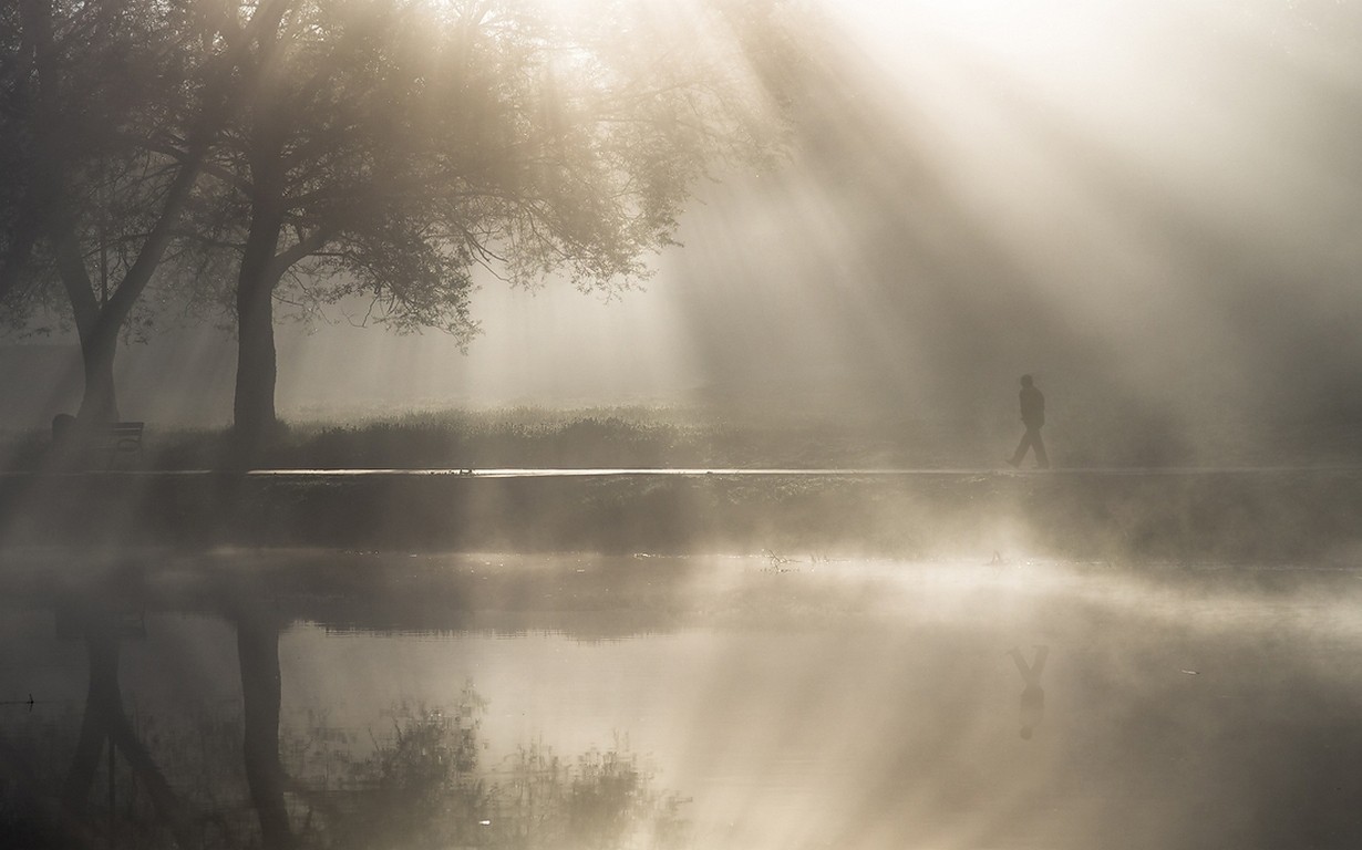 Person walking by a misty lake with sun rays HD Wallpaper