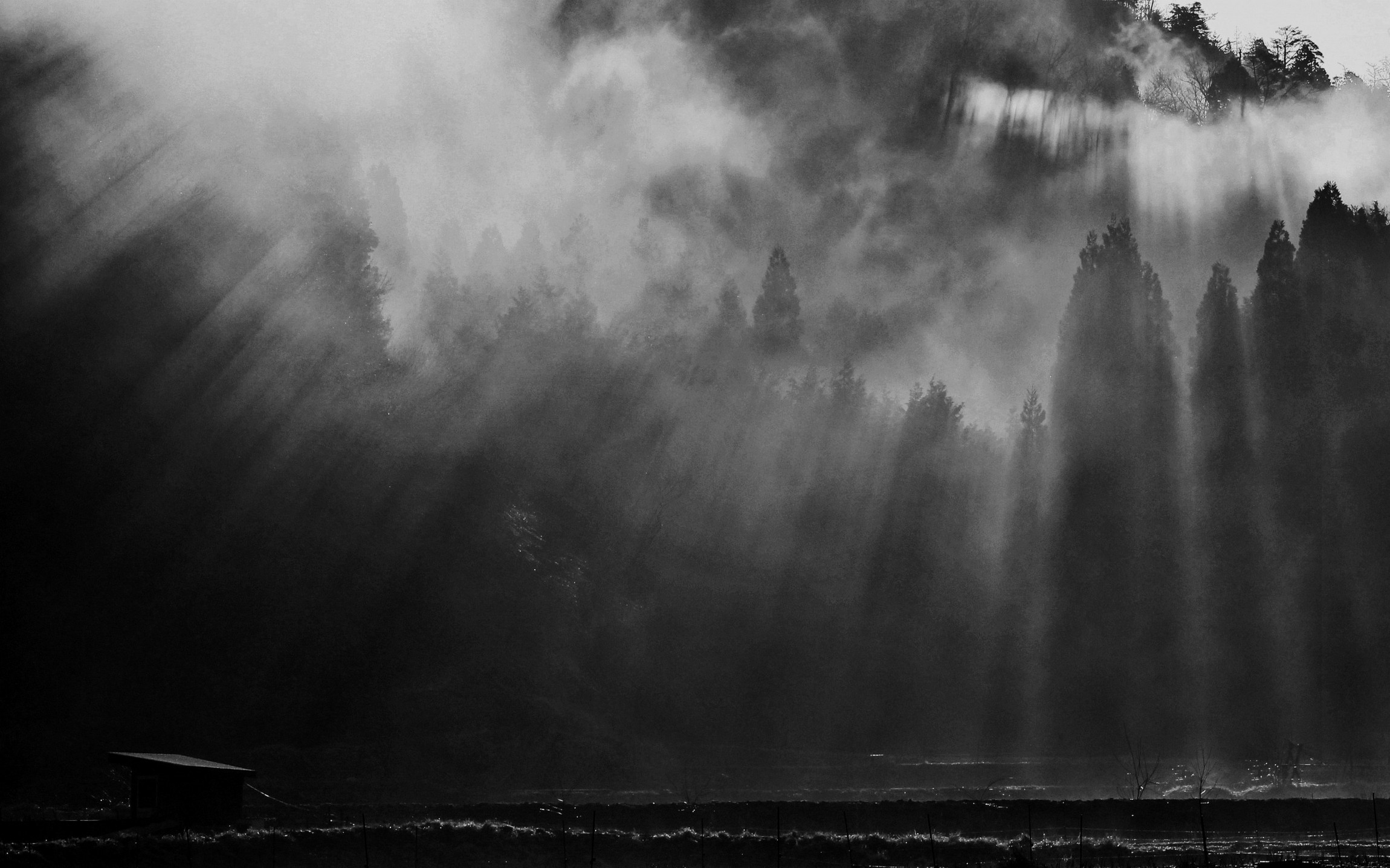 Sun rays through mist over a forest and hut HD Wallpaper