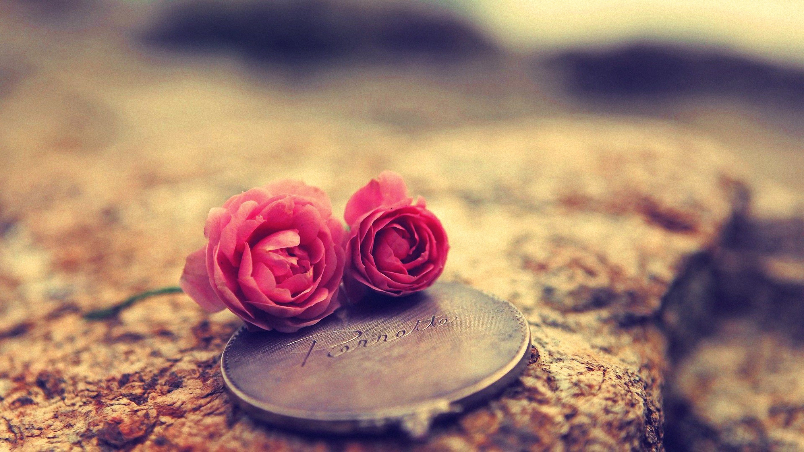 Two pink roses on a textured surface with a locket HD Wallpaper
