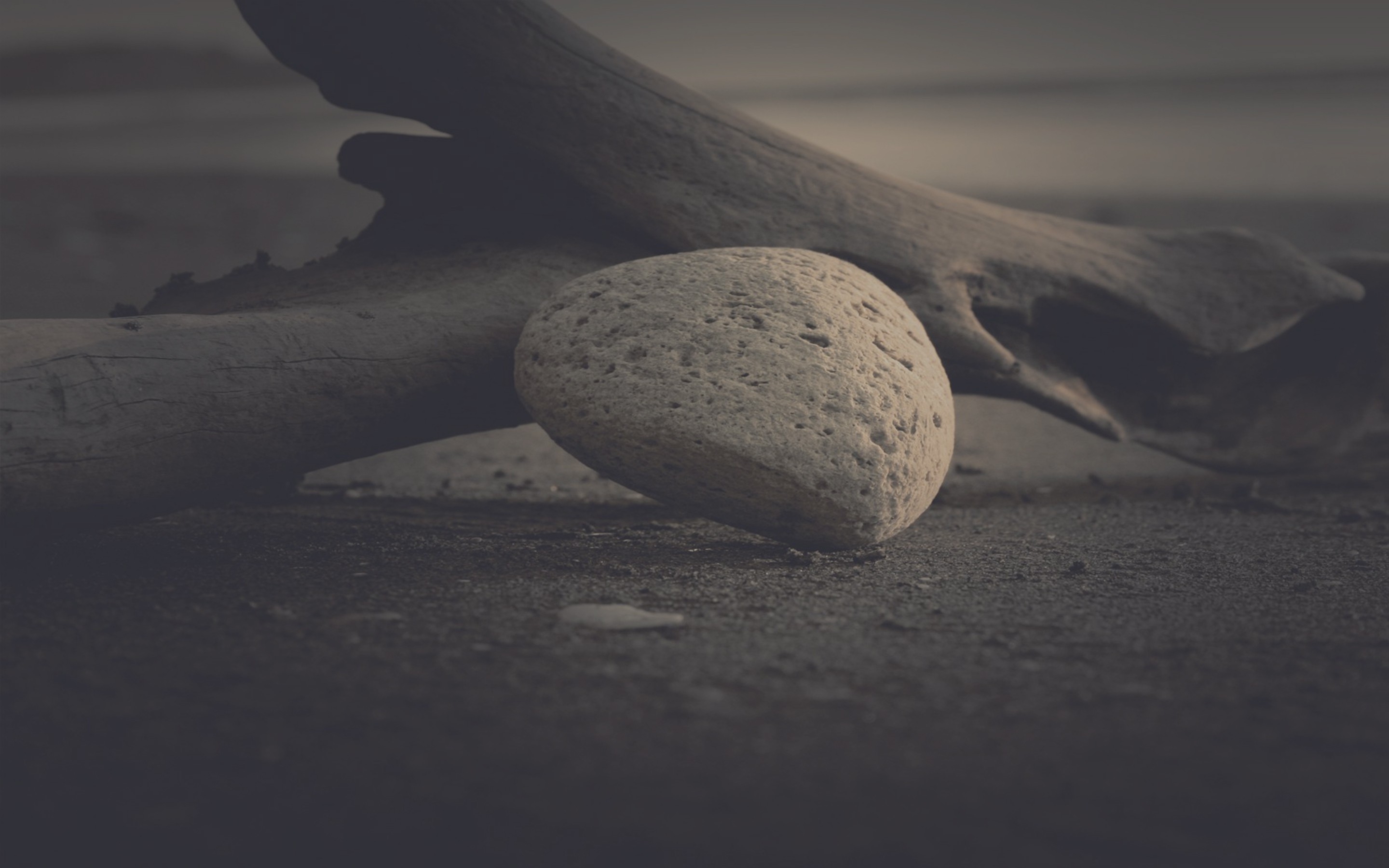 Monochrome photo of a stone on a beach with driftwood HD Wallpaper