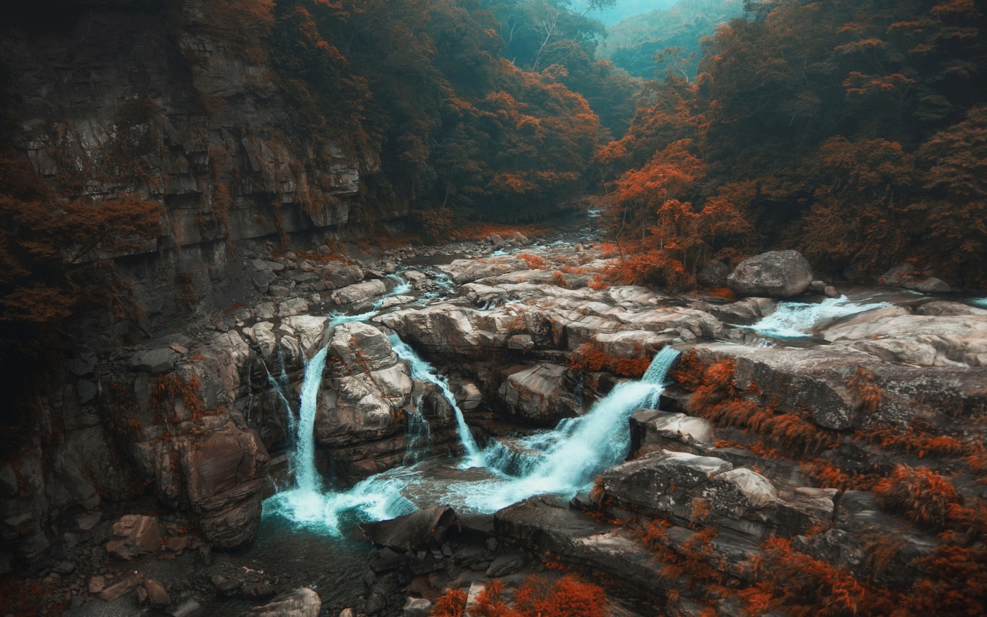 Waterfall in a forest in Taiwan HD Wallpaper