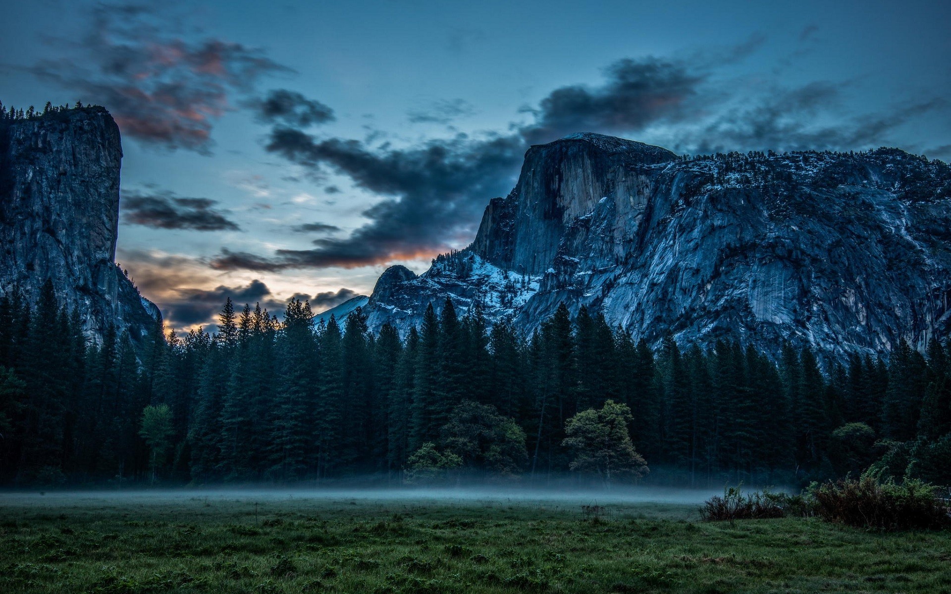 Misty meadow with mountains and pine forest at dusk HD Wallpaper