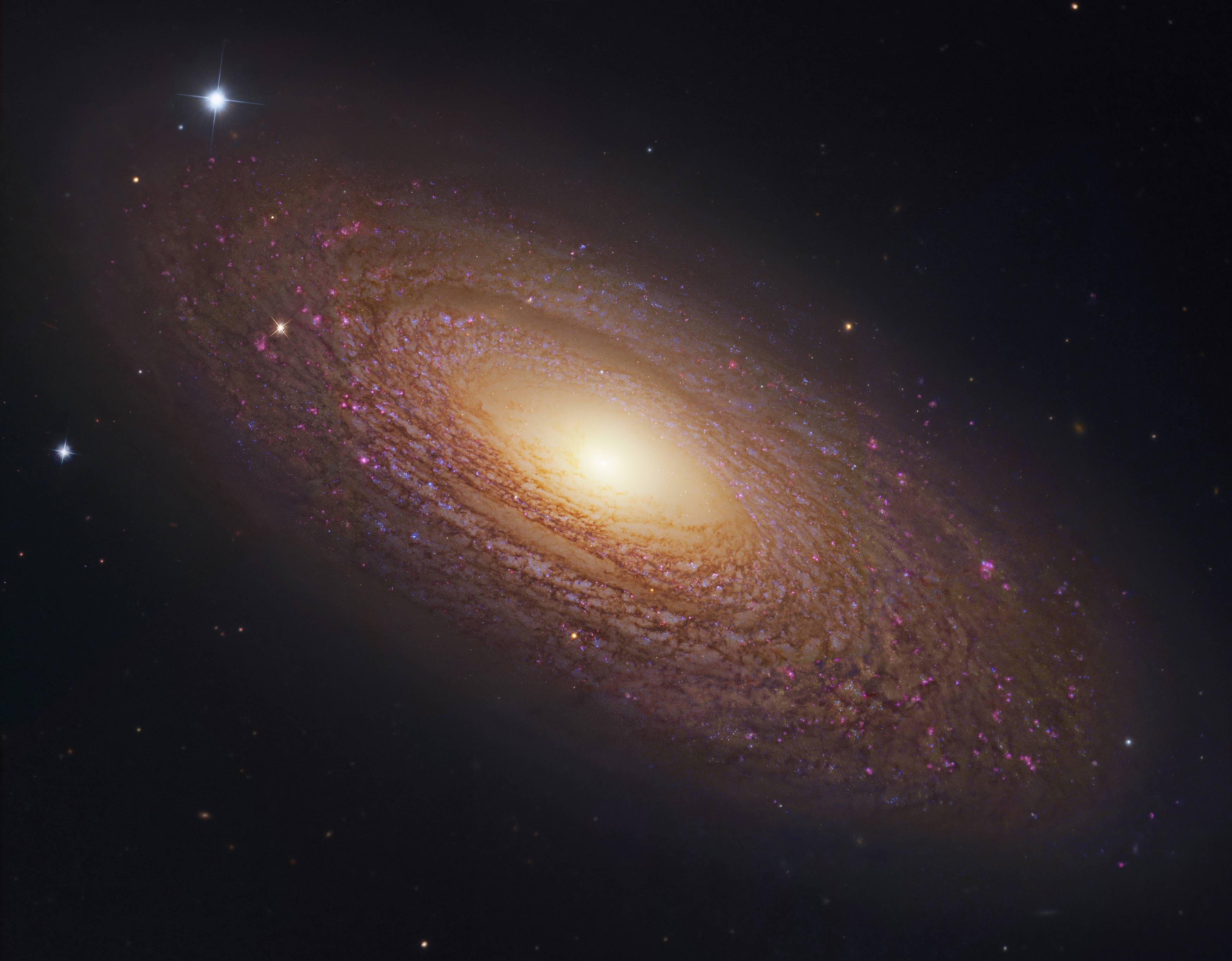 NGC 6503 spiral galaxy in space HD Wallpaper