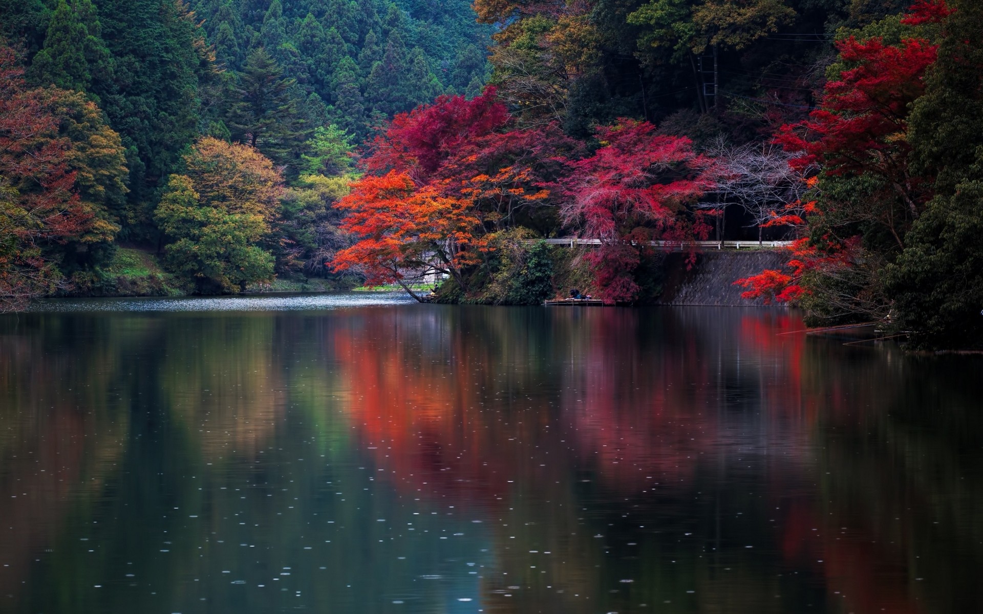 Autumn trees reflected in a lake in Japan HD Wallpaper